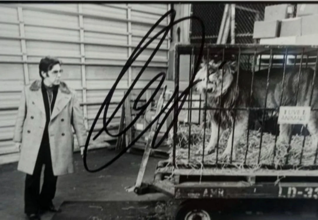 Donnie Brasco rare Al Pacino & Johnny Depp signed movie still autograph photo, изображение 2