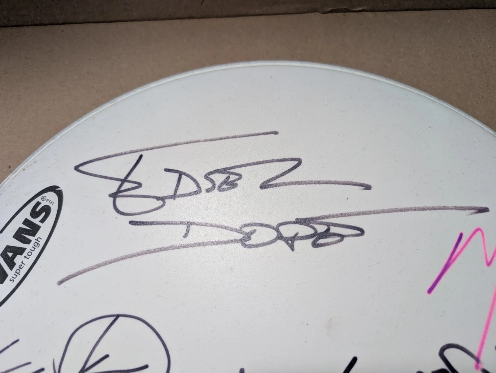 DOPE - Autographed Drumhead Circa 2001 - Edsel-Acey-Virus-Racci-Simon-Mosey, image 2