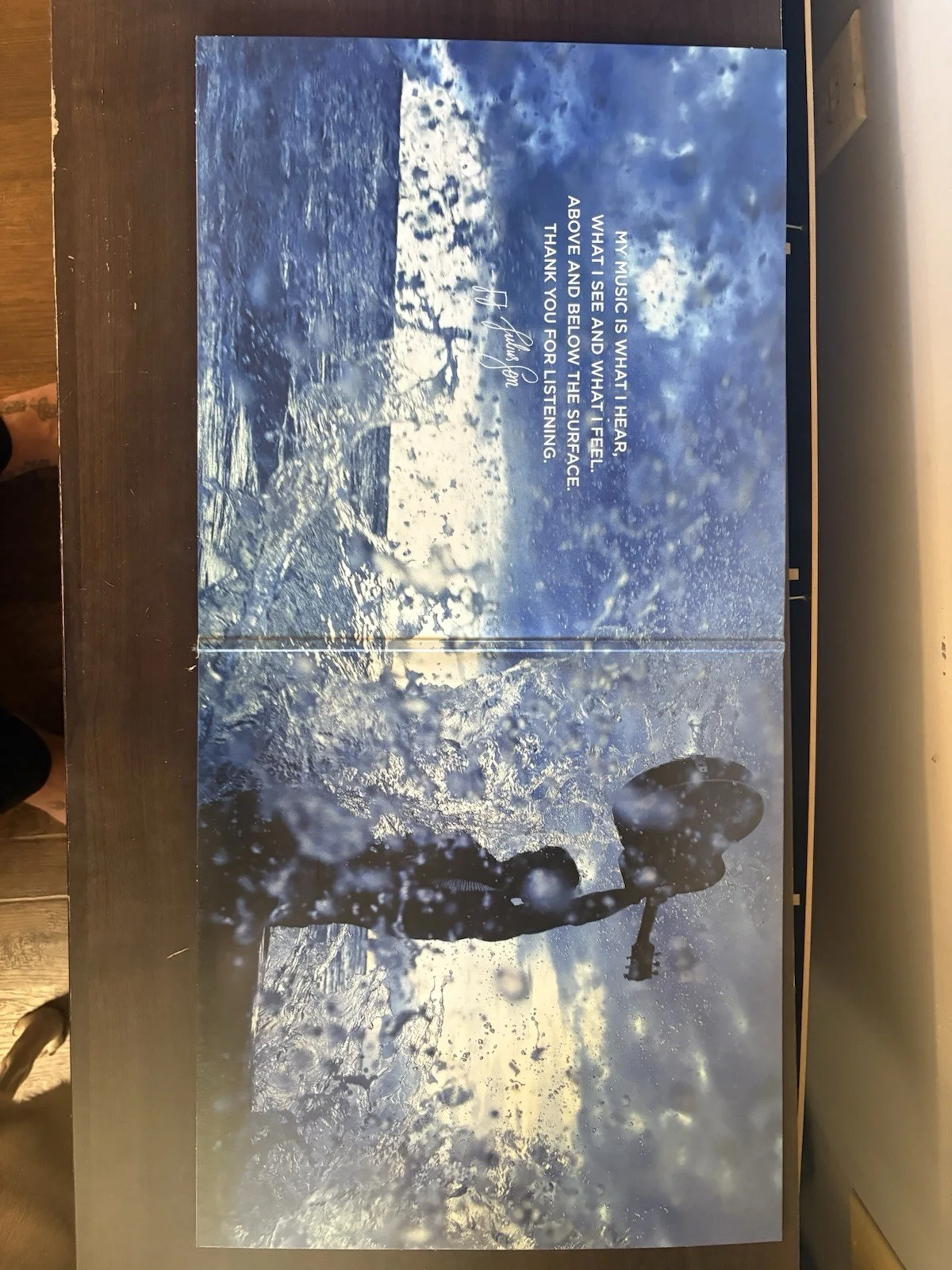 Kaleo Mixed Surface Sounds Vinyl Autograph Signed, image 2