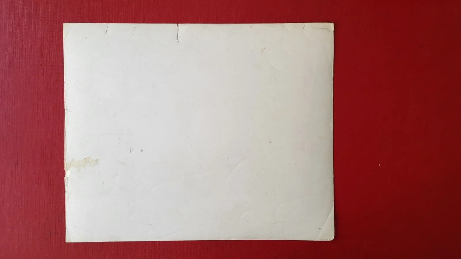 SUPER RARE! DAVEE DECKER, DIARY OF A NUDIST 8x10 VTG 1961 PHOTO - DORIS WISHMAN, изображение 2