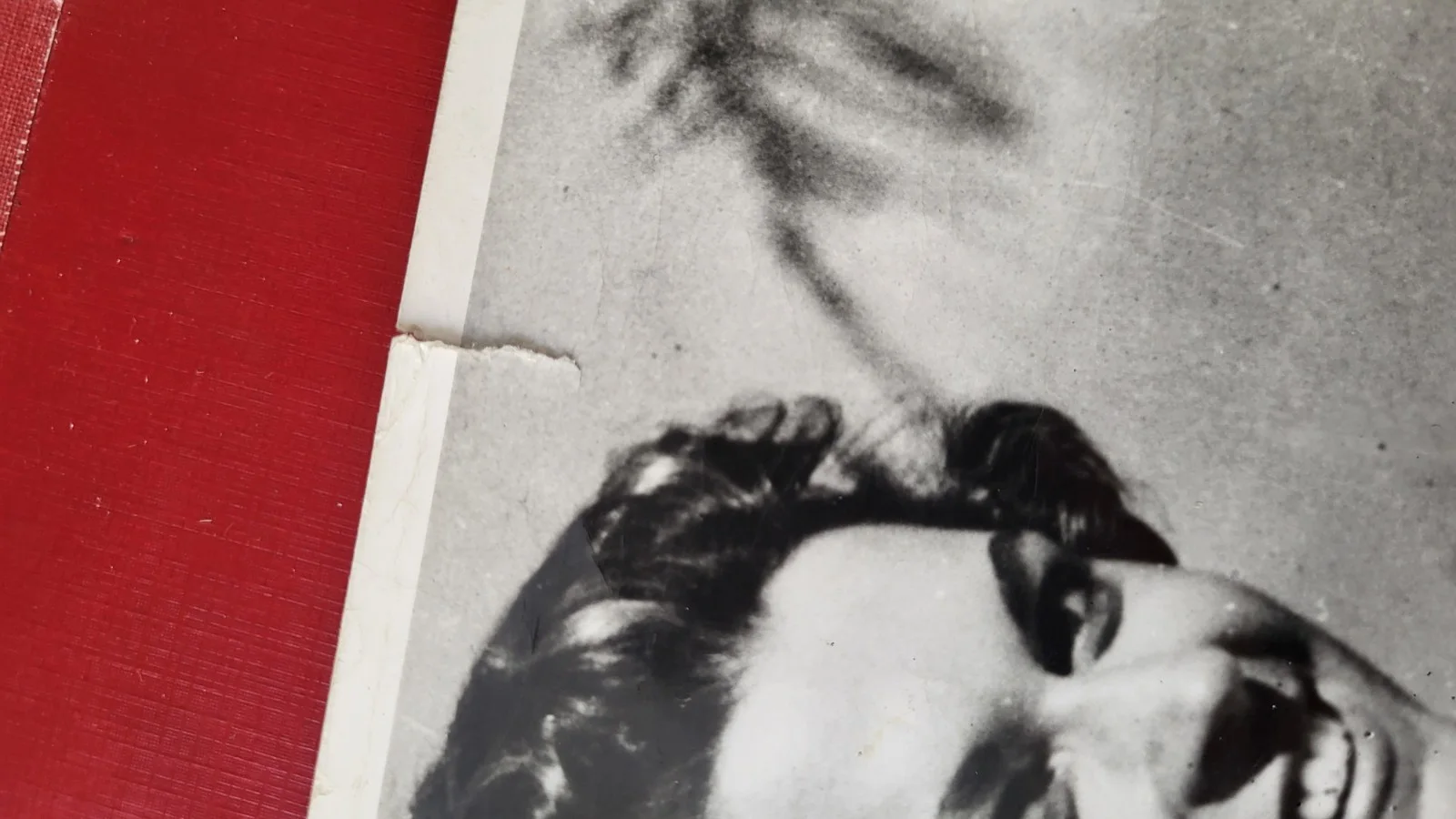 SUPER RARE! DAVEE DECKER, DIARY OF A NUDIST 8x10 VTG 1961 PHOTO - DORIS WISHMAN, изображение 4