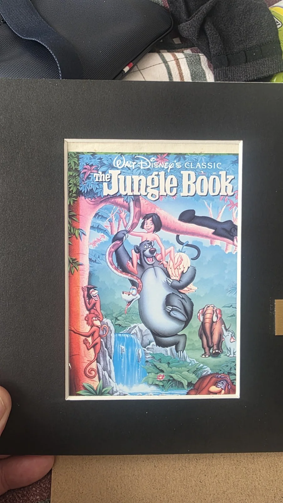 Framed Original Disney Jungle Book Film Cel Limited Edition 71/200, изображение 2