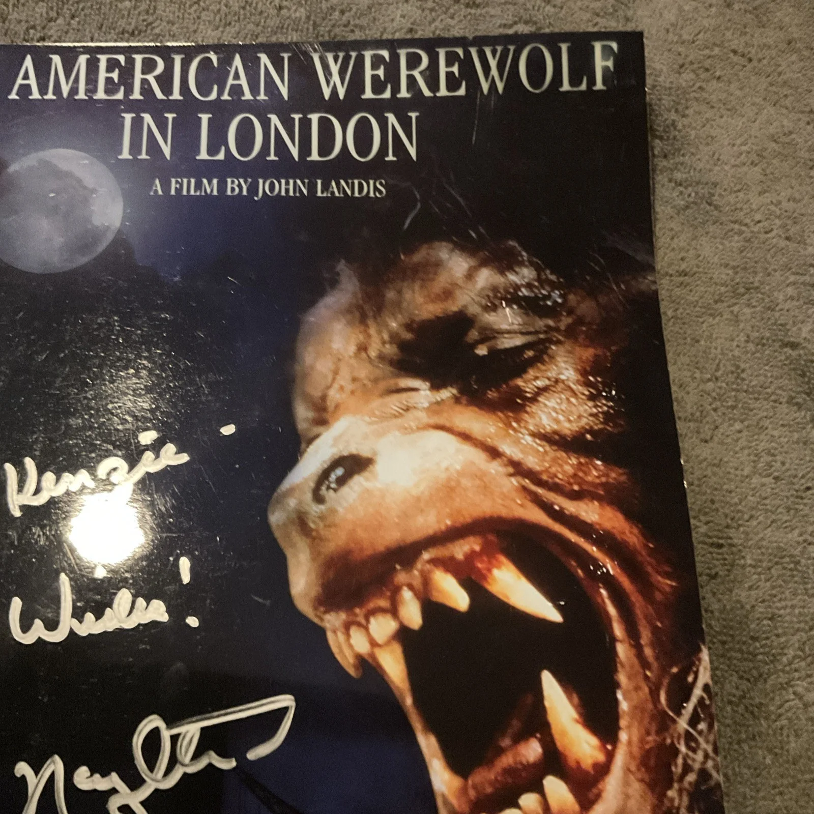 David Naughton — David Naughton Signed AN AMERICAN WEREWOLF IN LONDON 8x10 Photo No Coa, изображение 3