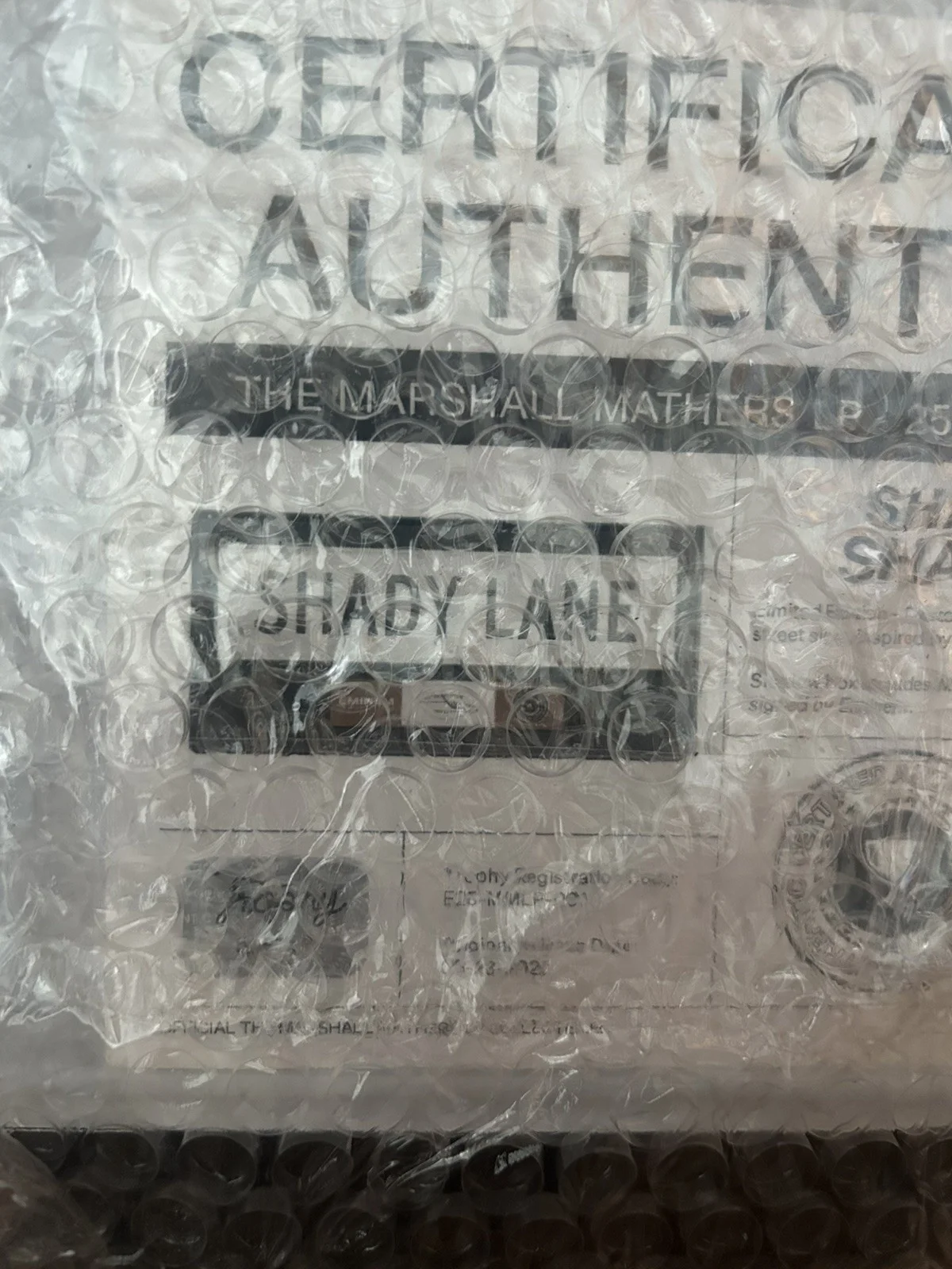New Signed Eminem MMLP25 Shady Lane Street Sign Shadow Box Trophy + COA Limited, изображение 4