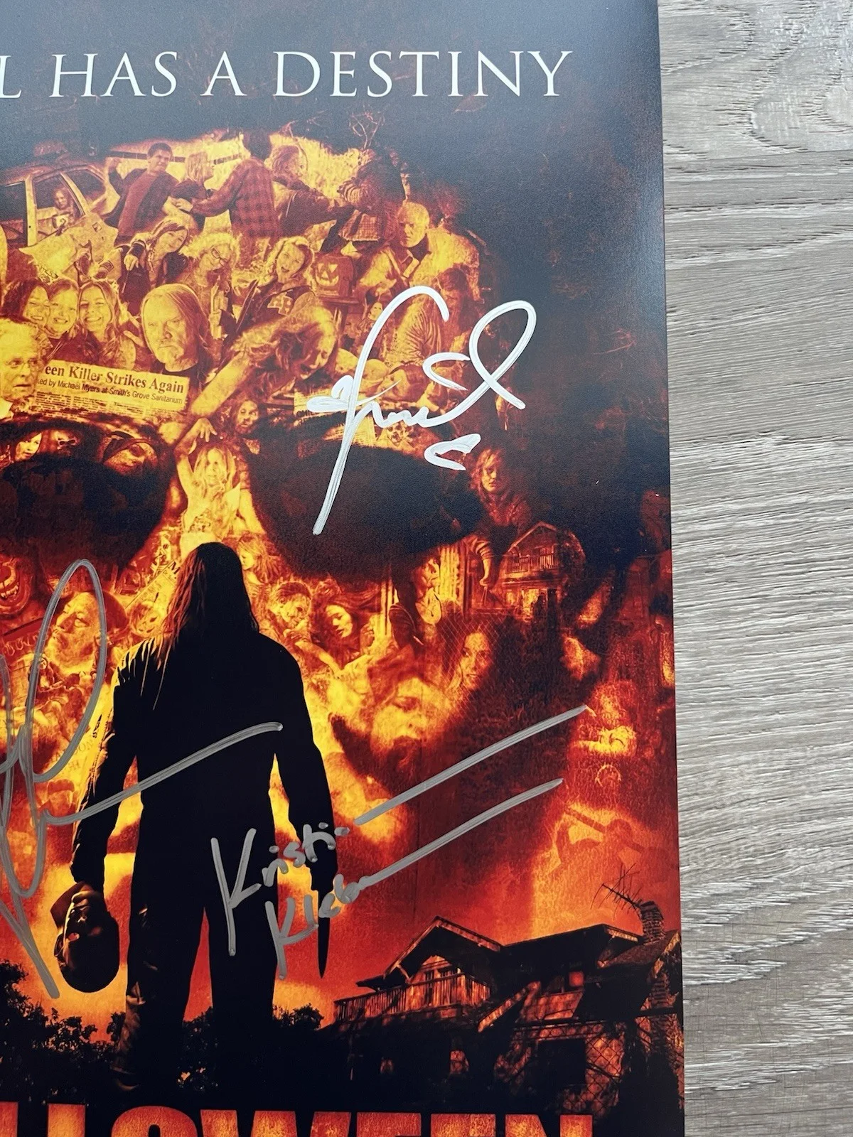 Scout Taylor Compton Danielle Harris Kristina Klebe Signed Halloween 11x17 Photo, изображение 5