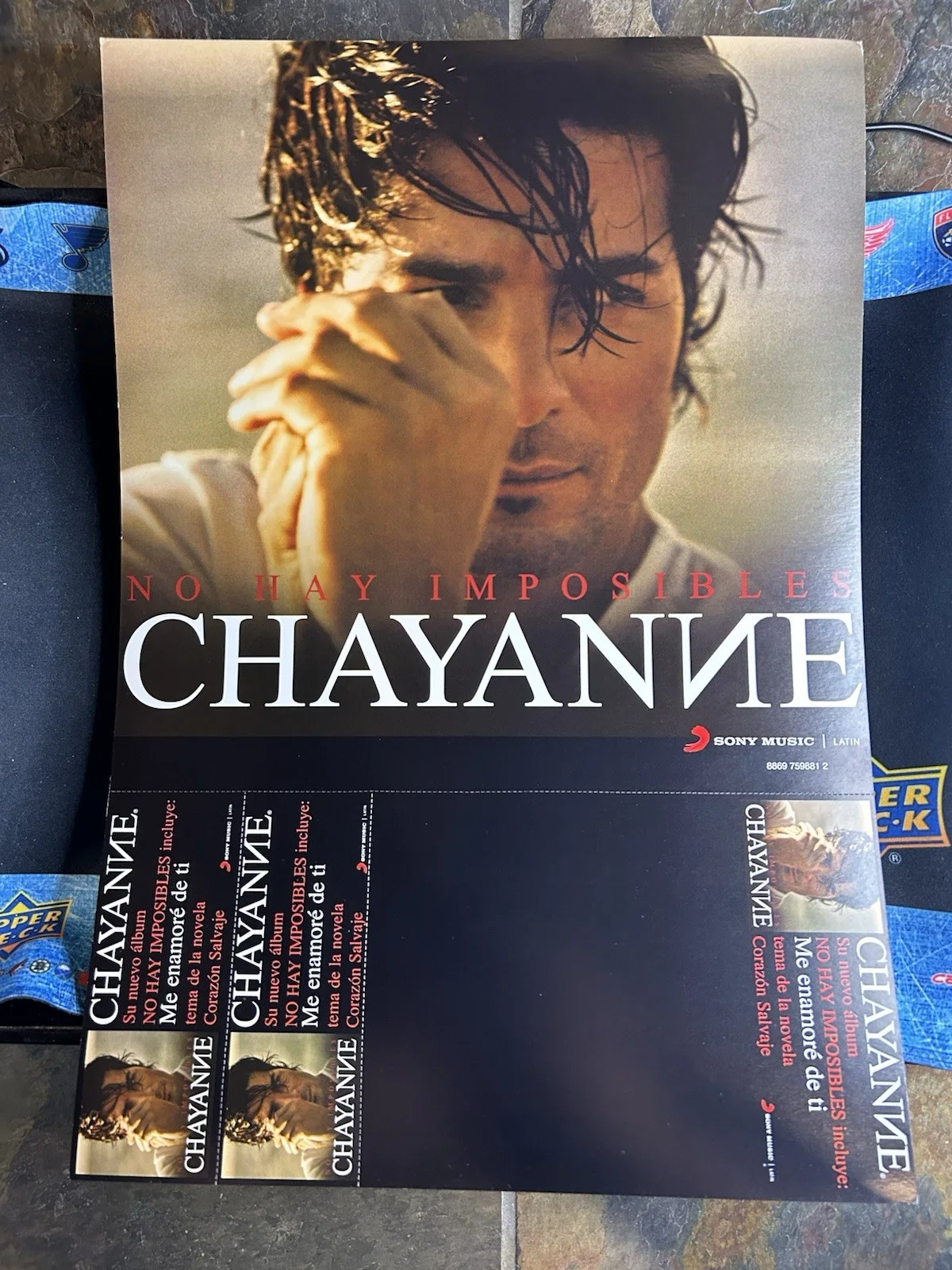 Cheyanne Autographed Poster From February 2010 FYE Signing Event In Miami, изображение 2