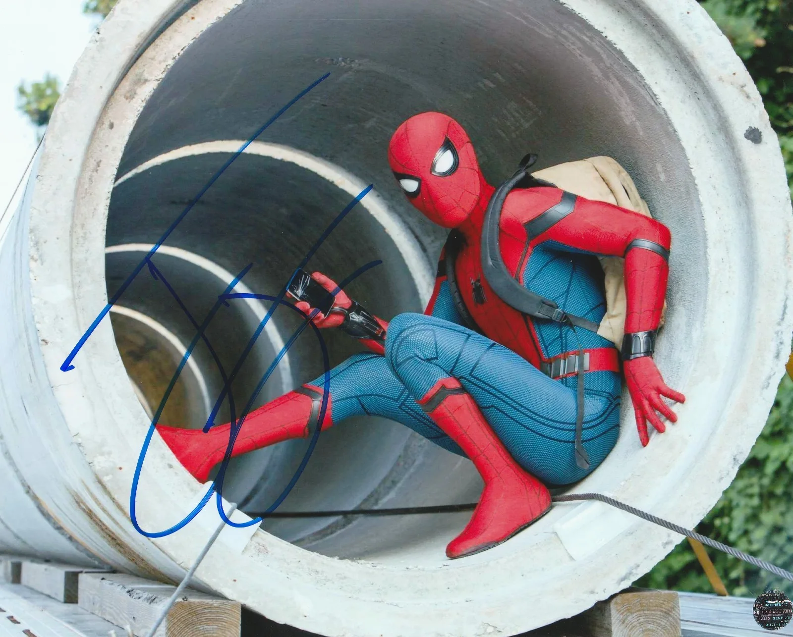 Tom Holland — Tom Holland Signed Autographed Spider-Man 8x10 Photo with COA/Matching Hologram