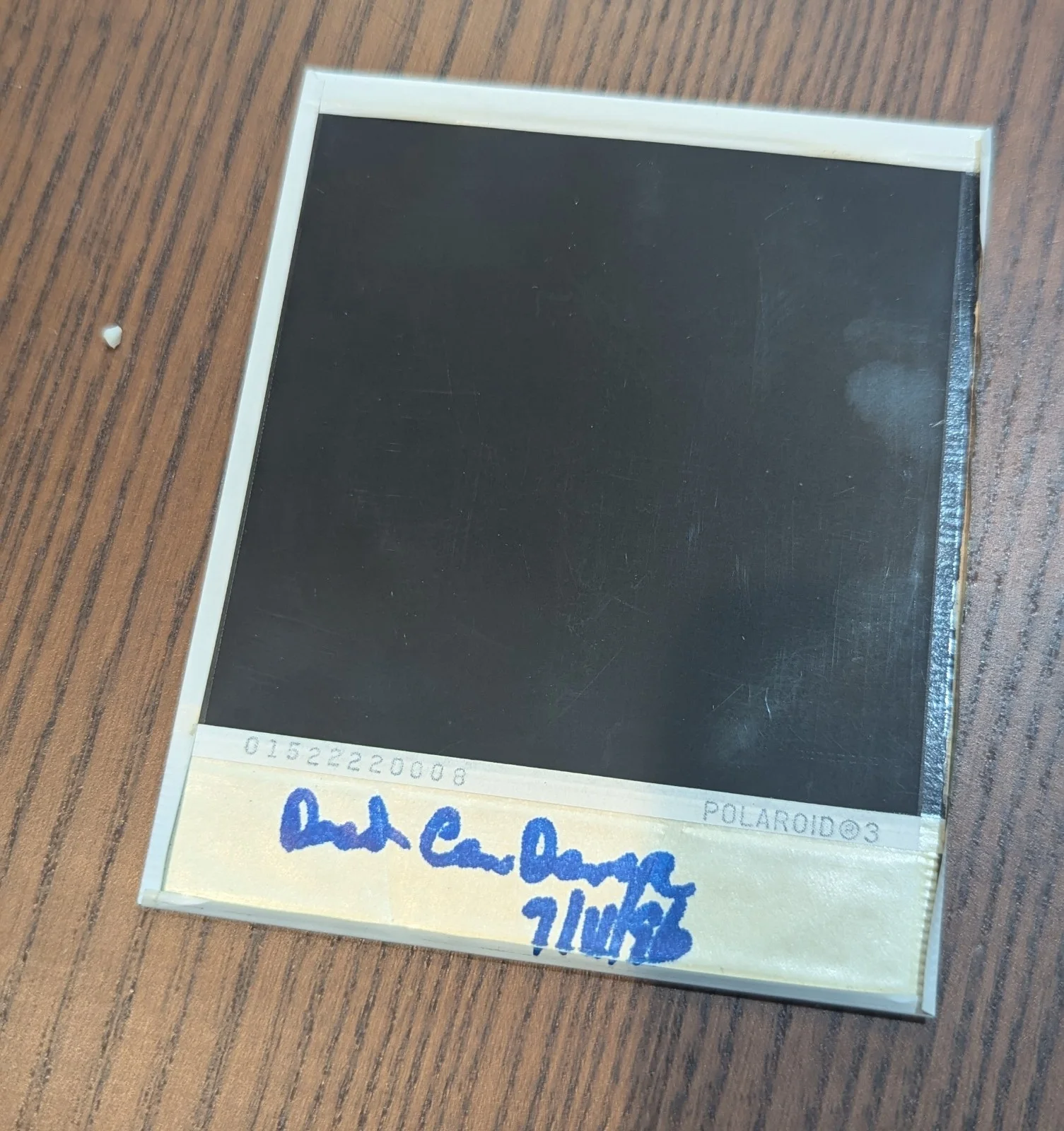 Sudev Ray — Brendan Perry Dead Can Dance Autographed Signed Polaroid Leaf 1996 1/1, image 2