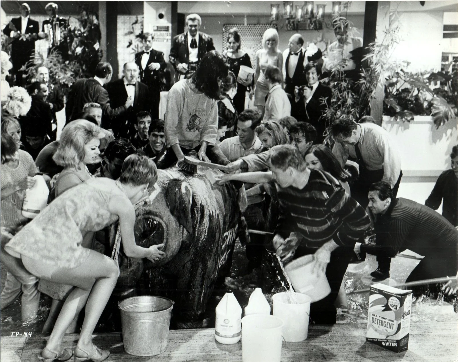 PARTY 1968 Peter Sellers, Claudine Longet - Blake Edwards 6 10x8 STILLS, image 3