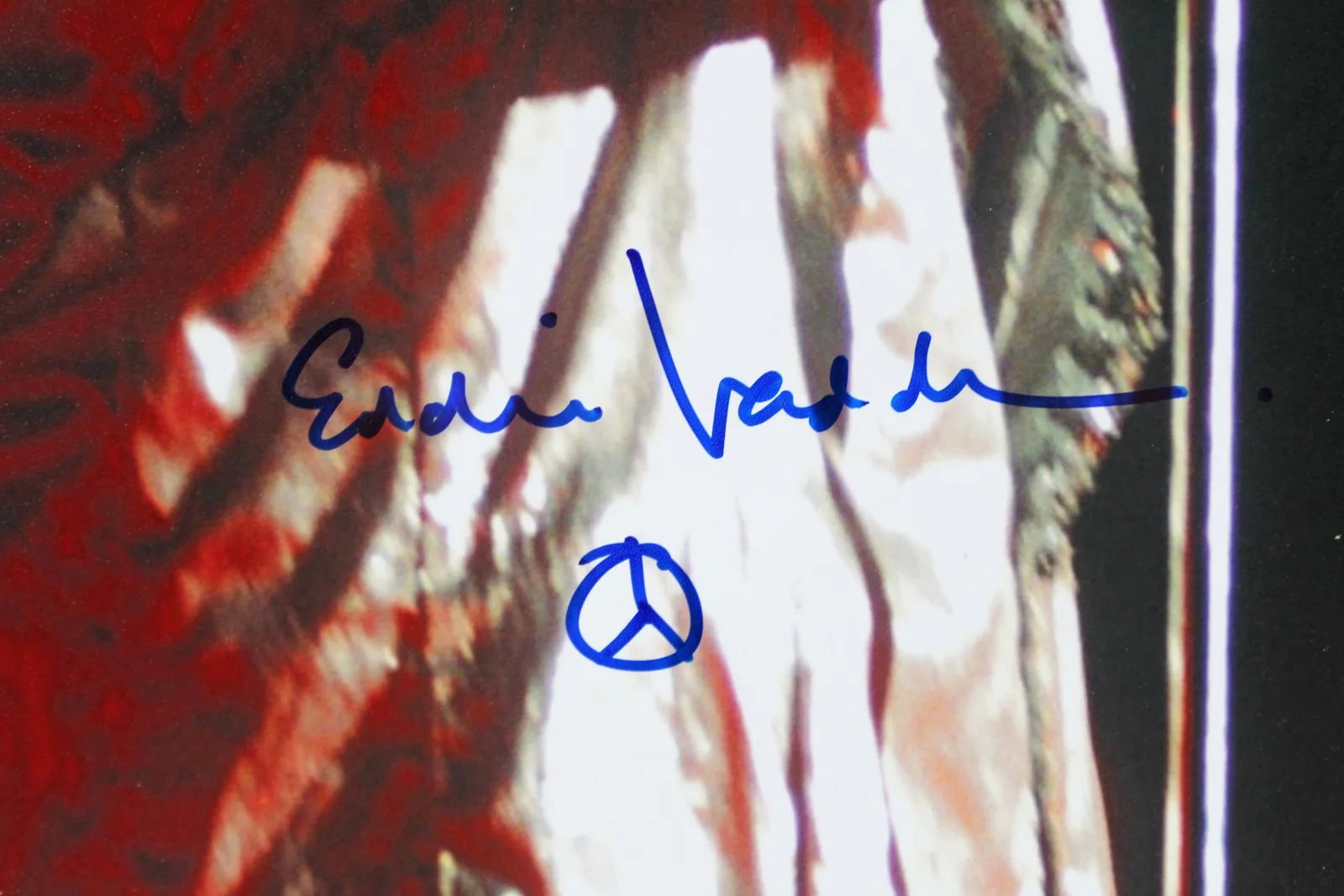 Eddie Vedder — Eddie Vedder Pearl Jam Authentic Signed 11x14 Photo JSA #YY55488, изображение 2