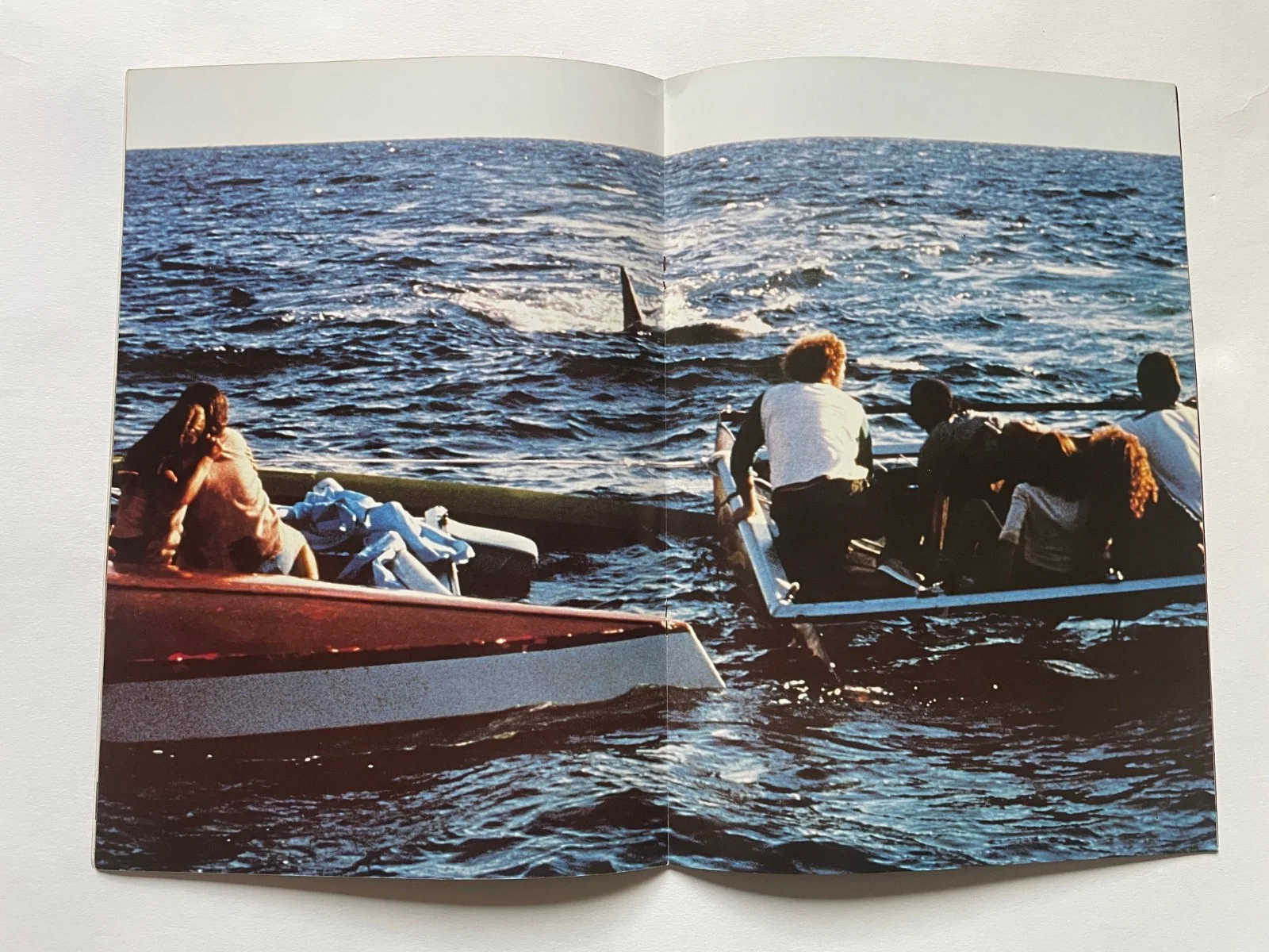 JAWS 2 Japanese 24 Page A4 Movie Program RARE & Excellent Condition, изображение 4