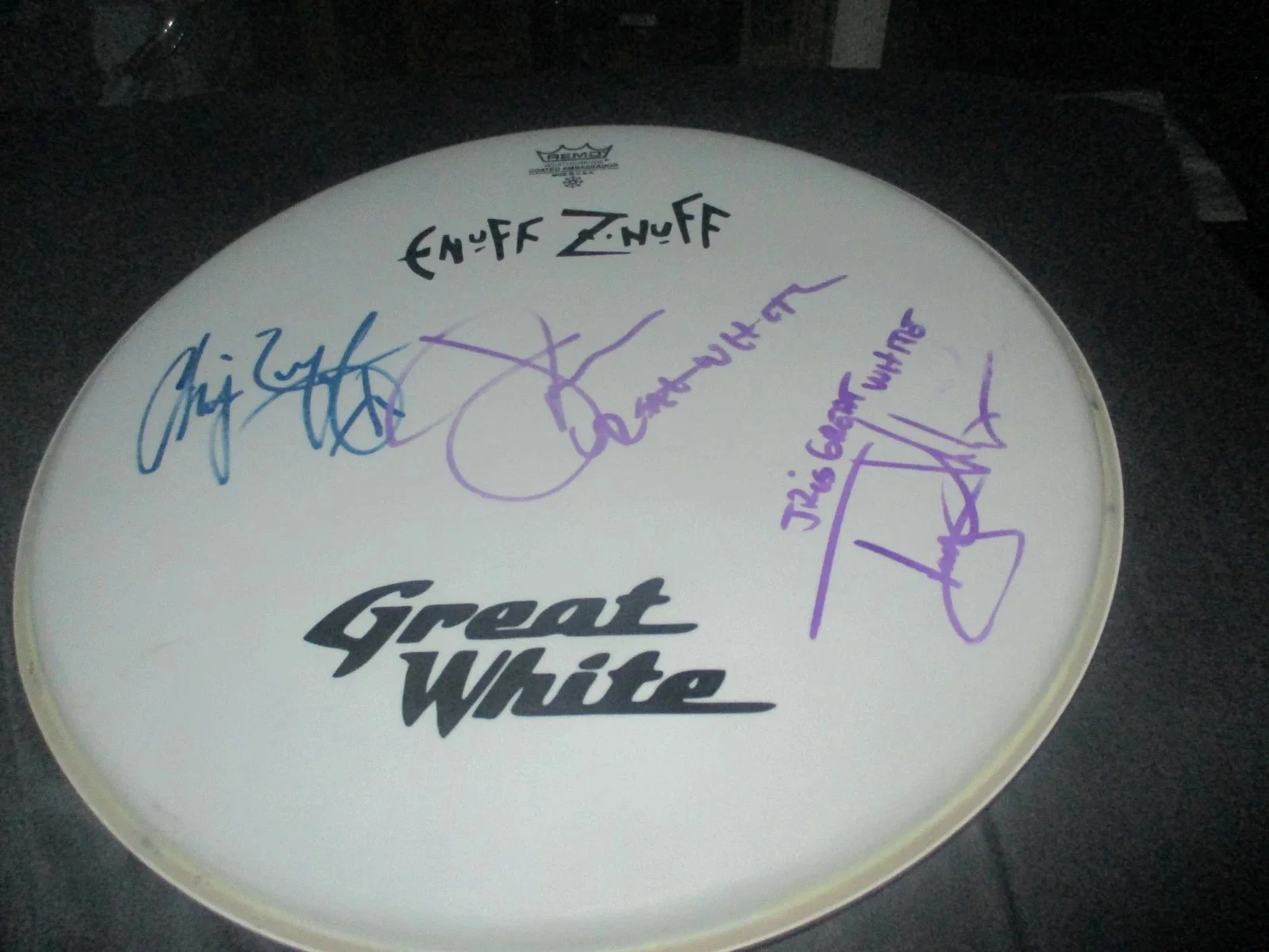 GREAT WHITE/ENUFF Z' NUFF AUTHENTIC SIGNED/AUTOGRAPHED DRUMHEAD-JACK RUSSELL, image 2