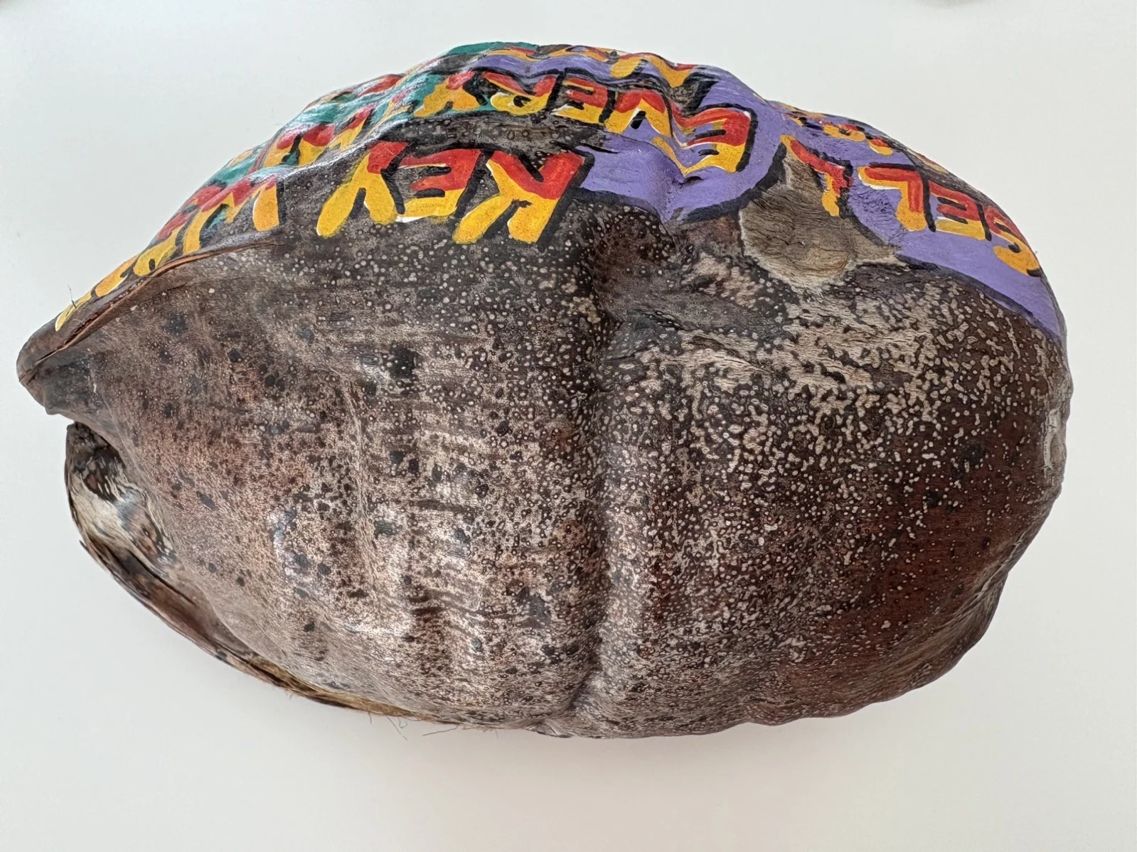 Jimmy Buffett Hand-Signed Margaritaville Coconut – Key West Original – Rare, изображение 3