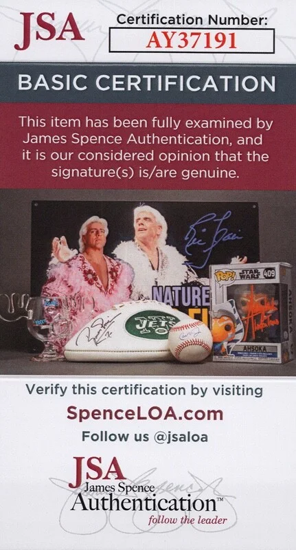 BROOKE HOGAN, HULK HOGAN — Hulk Hogan & Brooke Hogan signed "UNDISCOVERED" CD Exact Proof JSA COA Rare, изображение 2
