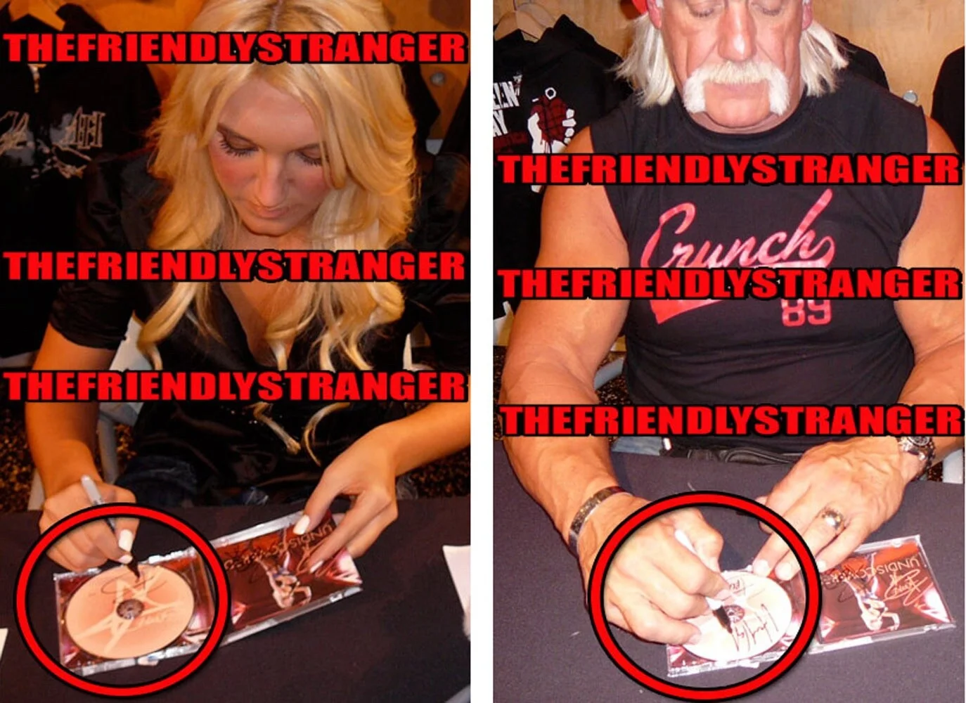 BROOKE HOGAN, HULK HOGAN — Hulk Hogan & Brooke Hogan signed "UNDISCOVERED" CD Exact Proof JSA COA Rare, изображение 4