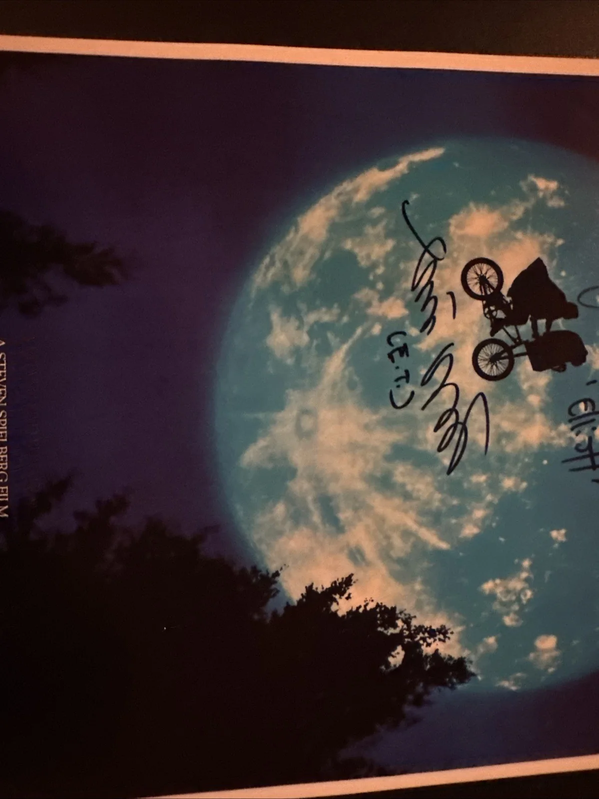 Henry Thomas and Matthew Demerit Signed E.T. 11x17 Poster JSA Authenticated, image 5