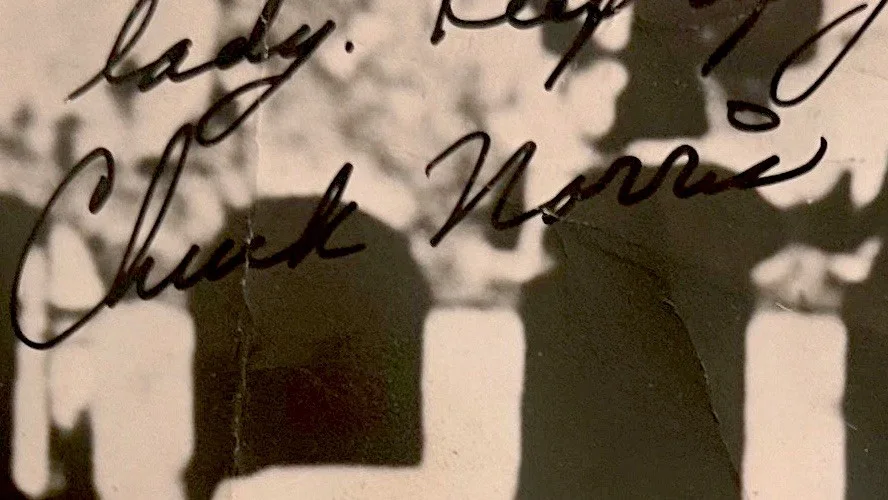 Rare Chuck Norris Signed Board + Way of Dragon Photo + UFAF Black Belt Diploma, изображение 3