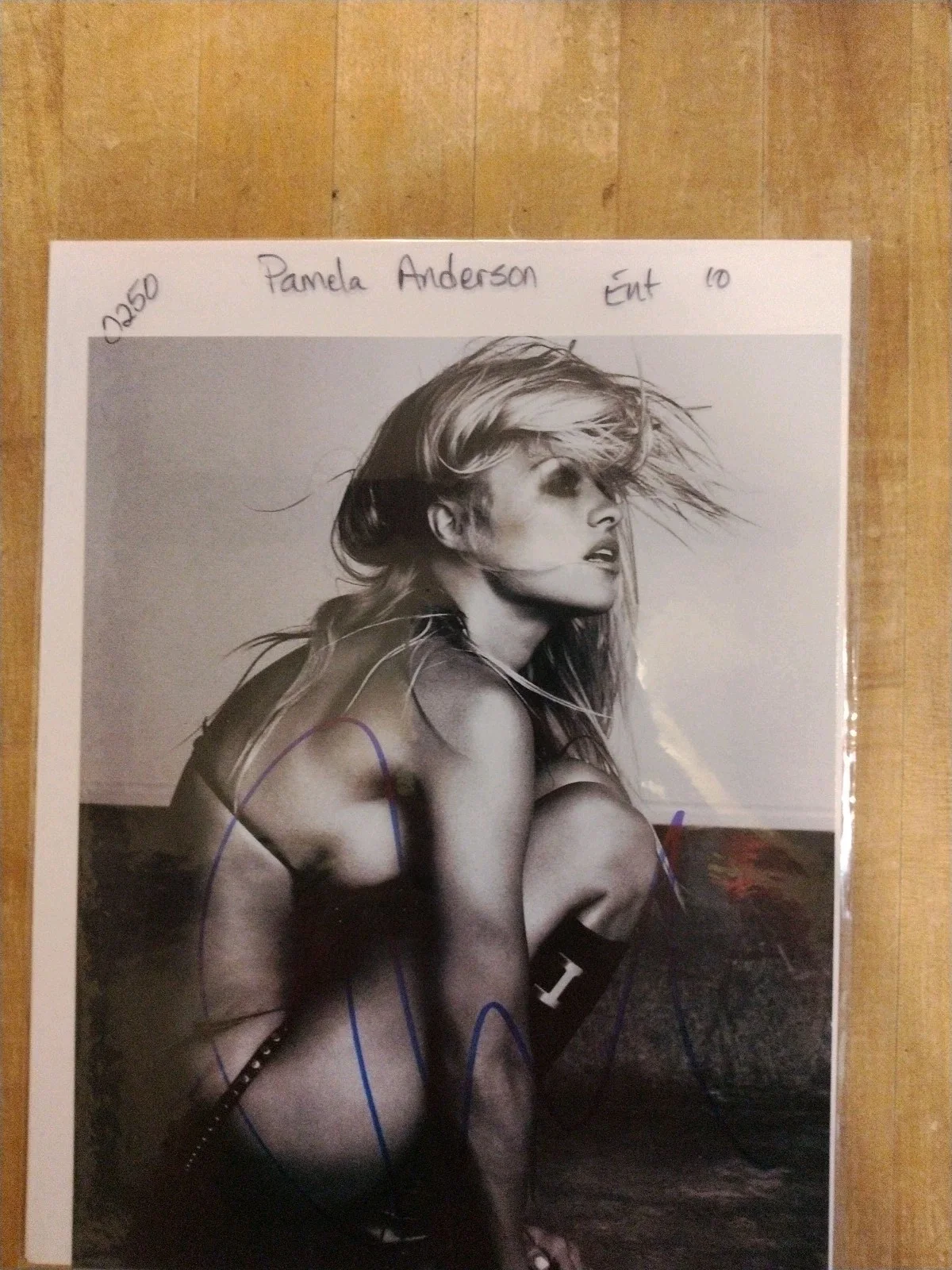 Pamela Anderson — Pamela Anderson Hand Signed Autographed Sexy 8x10 Photo with Todd Mueller COA