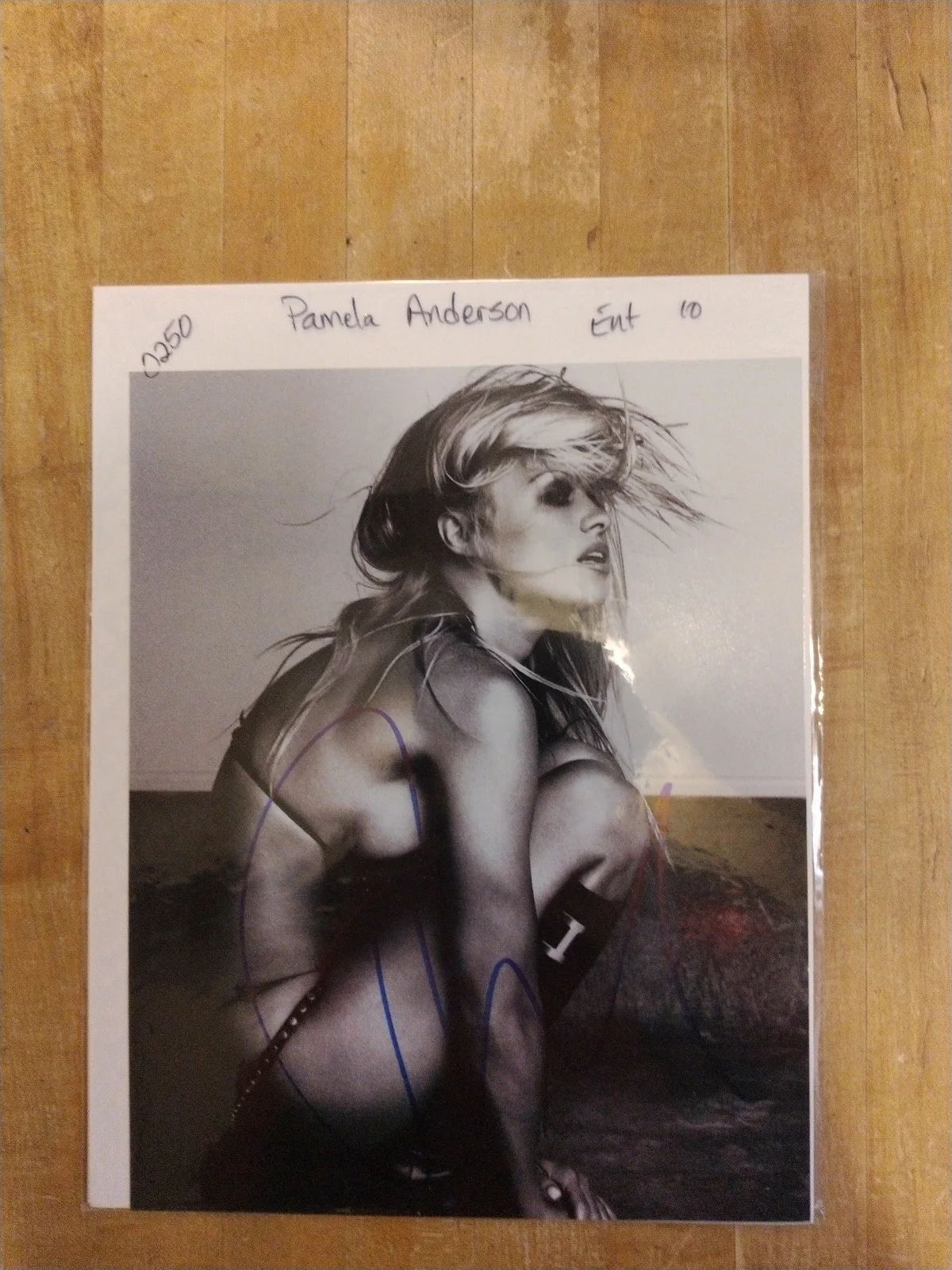 Pamela Anderson — Pamela Anderson Hand Signed Autographed Sexy 8x10 Photo with Todd Mueller COA, изображение 2
