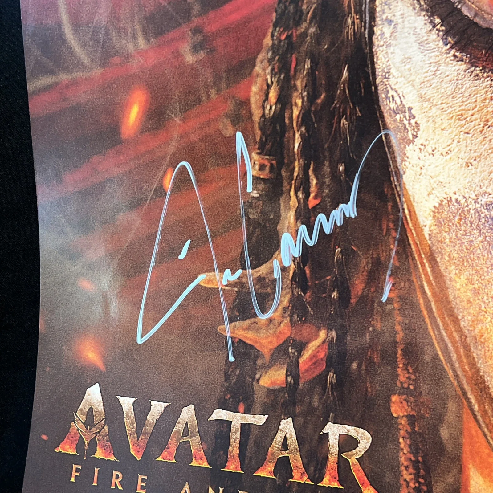 James Cameron — James Cameron Signed Autograph AVATAR Original Movie Poster PSA /DNA Authentic, изображение 2