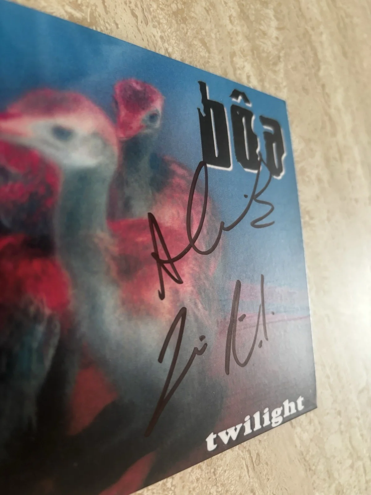 Boa - Twilight CD Cover Signed By Jasmine Rodger, and Alex Caird, image 2