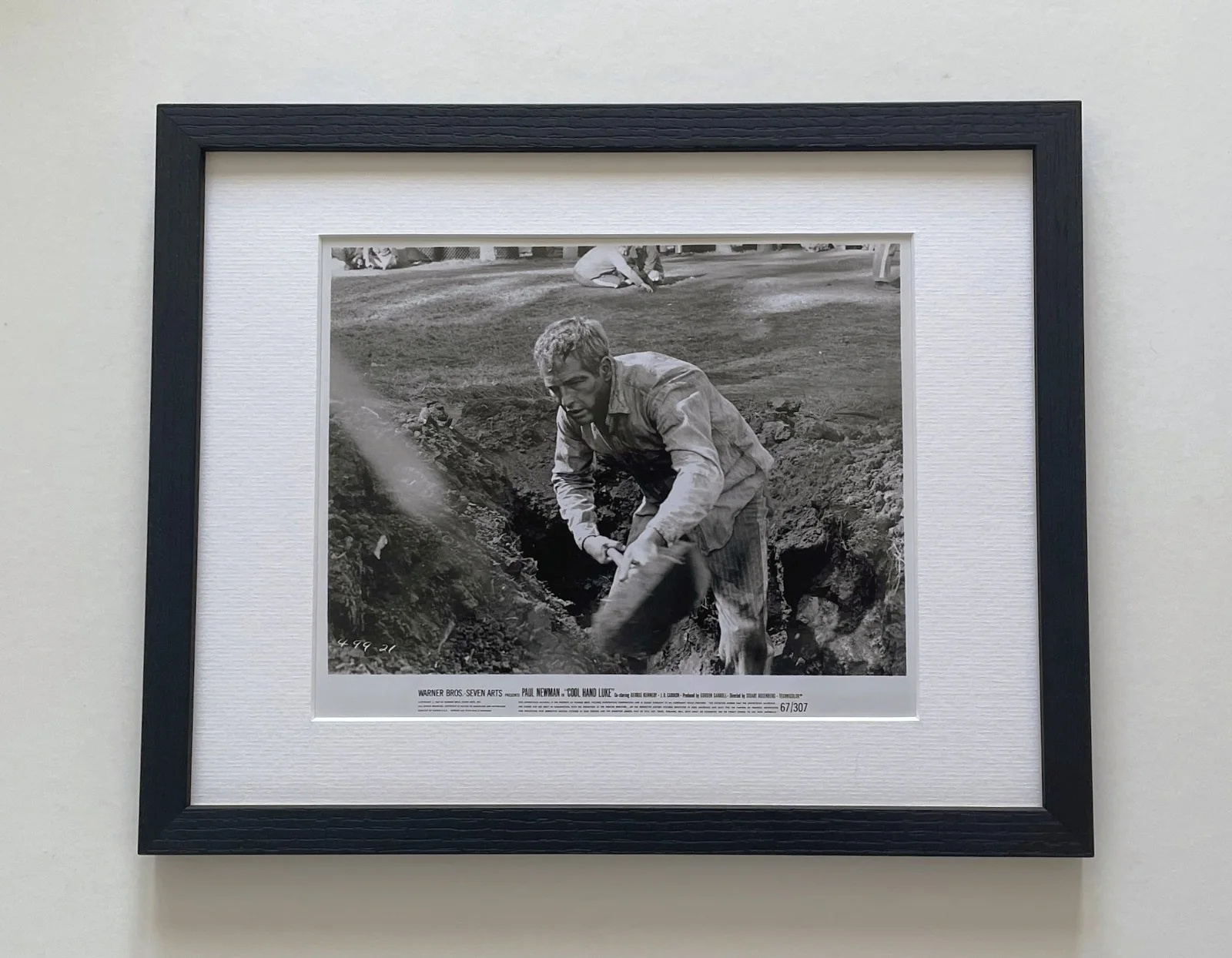 Cool Hand Luke Photo Original Framed 8X10 Inch B&W Press Publicity Still, image 2