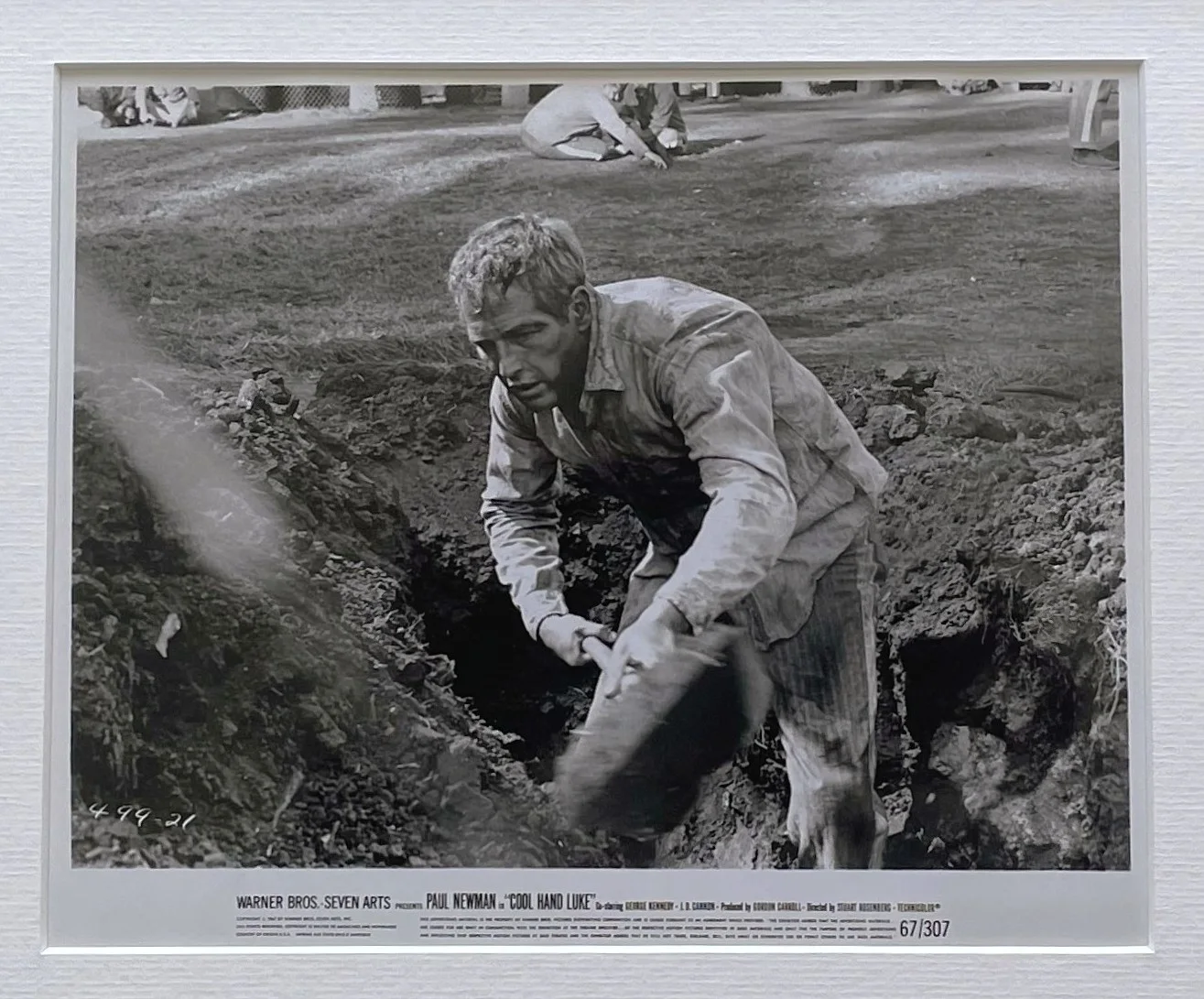 Cool Hand Luke Photo Original Framed 8X10 Inch B&W Press Publicity Still, image 3
