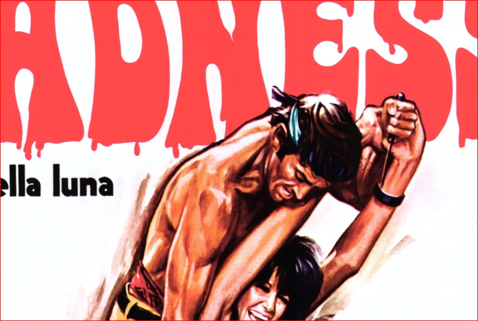 Madness - 1980 Italian Crime / Thriller - Restored Soggettone Poster, изображение 5