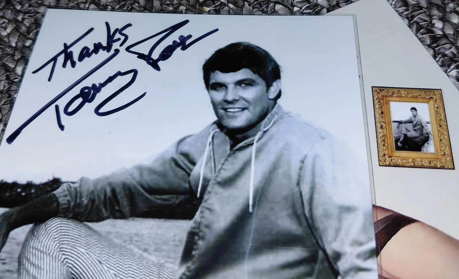 Tommy Roe SIGNED Photo With Matching CD Sleeve - Pop Rock Archies Monkees James, изображение 3