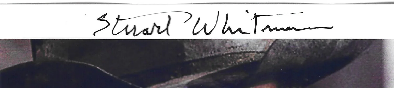 AUTOGRAPH STUART WHITMAN WESTERN STAR 8X10 SEE SCAN AN DESCRIPTIONS B4U BID, image 2