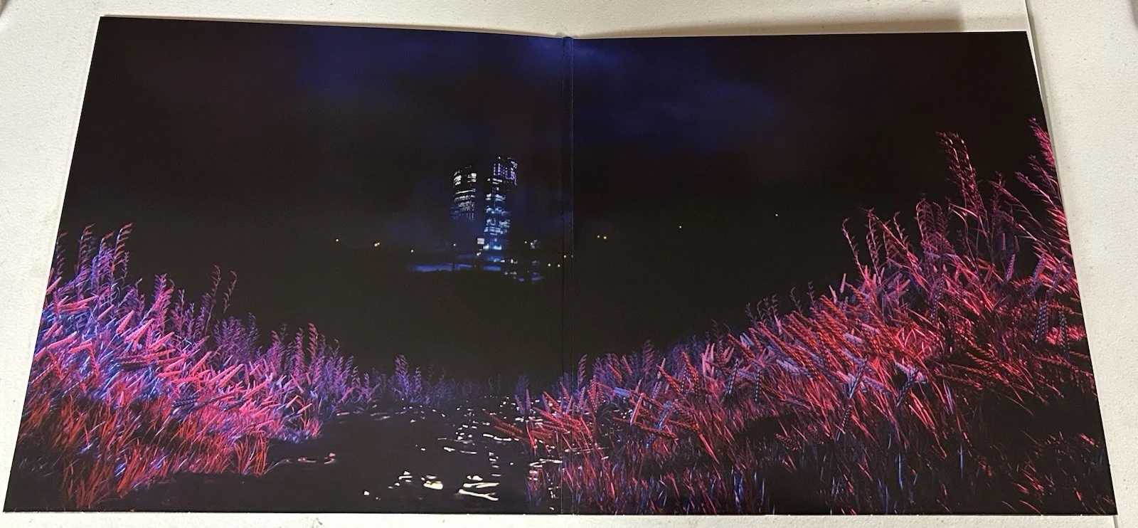 ERRA AUTOGRAPHED SIGNED NEON LP VINYL ALBUM WITH JSA COA # CM86187, image 3