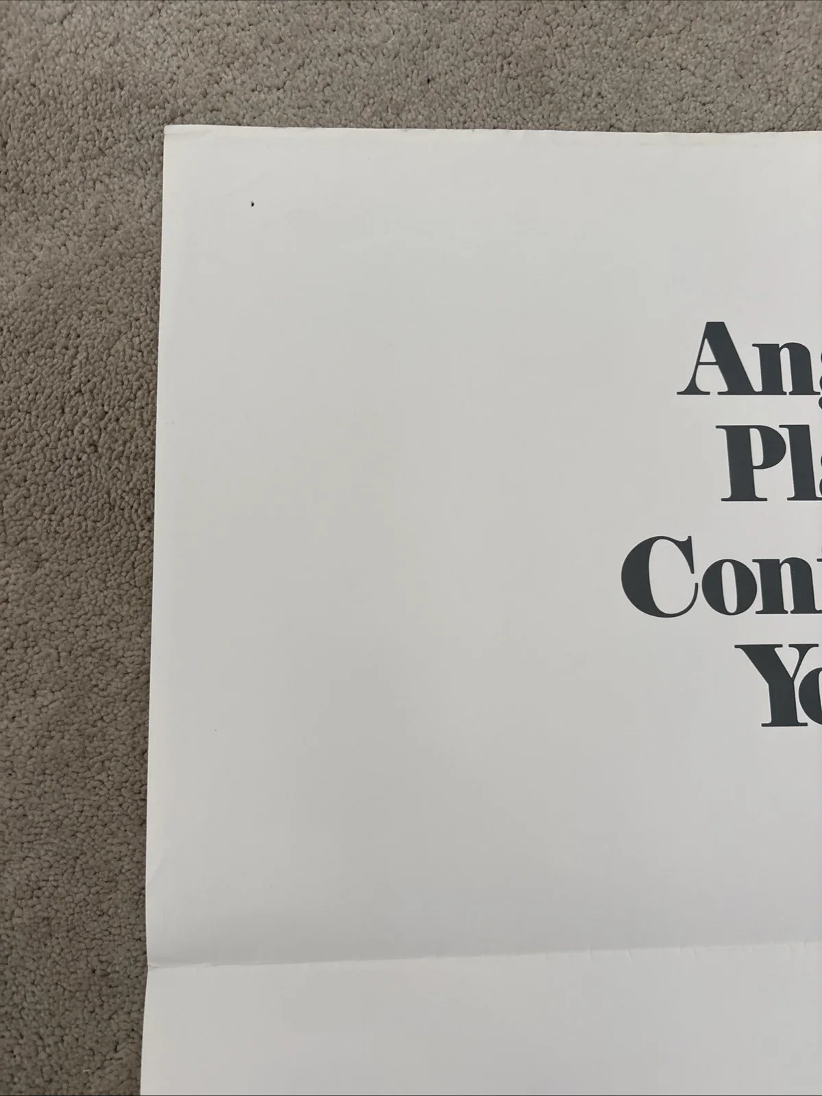A Fine Mess (1986) Original US One Sheet Movie Poster, изображение 2