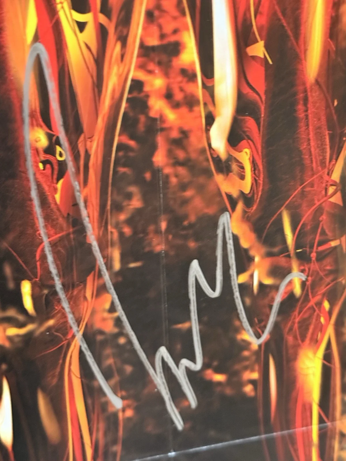 Meshuggah FULL- BAND Signed Poster W/JSA Authentication, image 4