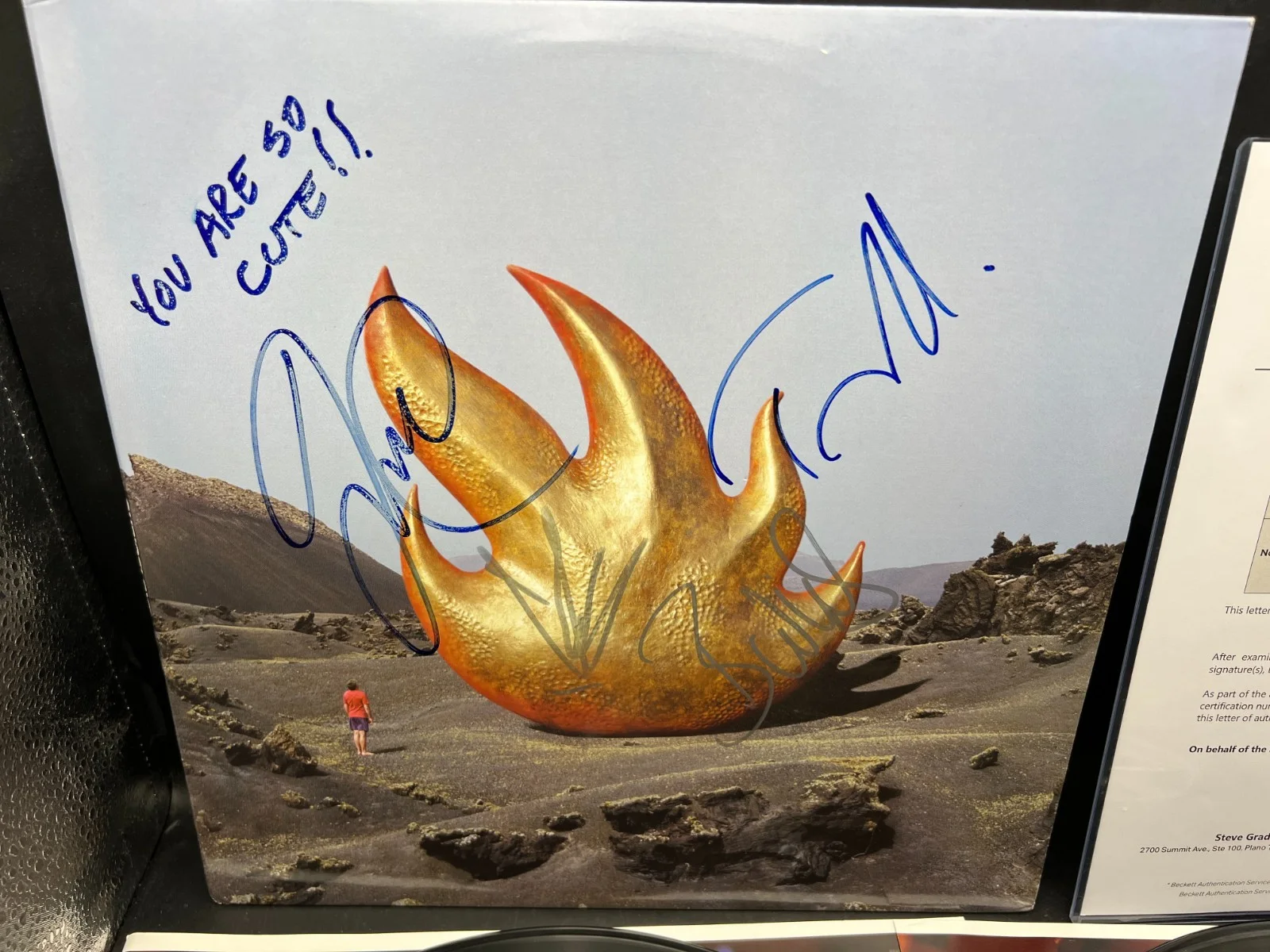 2002 Audioslave 4x Band Signed Self-Titled Debut Vinyl Album 2LP Beckett LOA, изображение 2