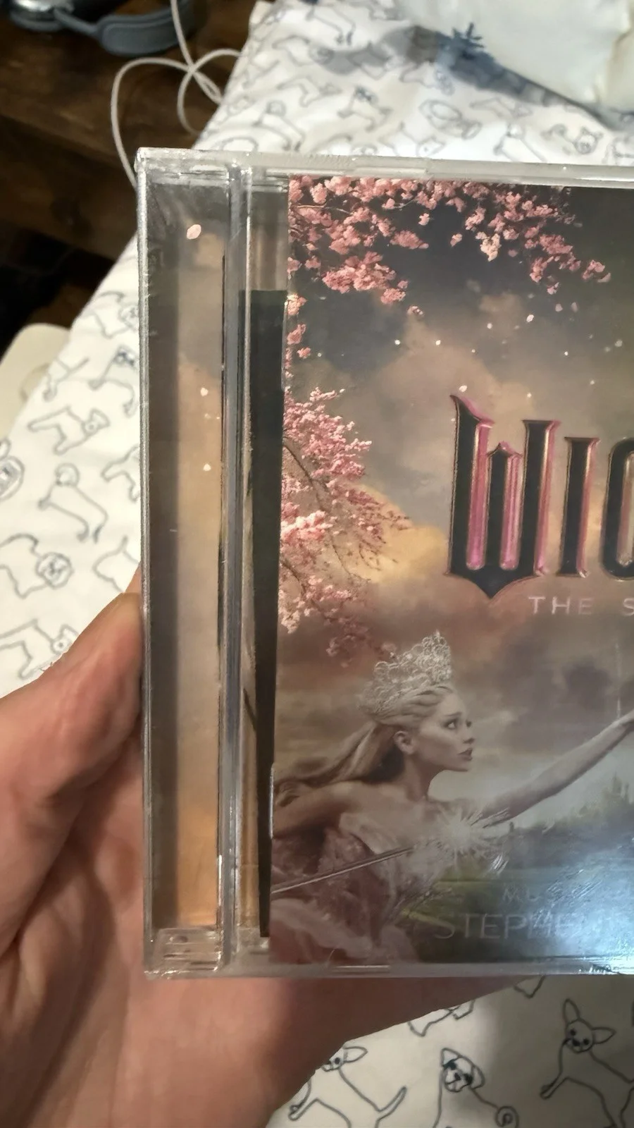 🖊️Signed Wicked CD AND Vinyl Both Signed And Sealed Ariana Grande And Cynthia, изображение 3