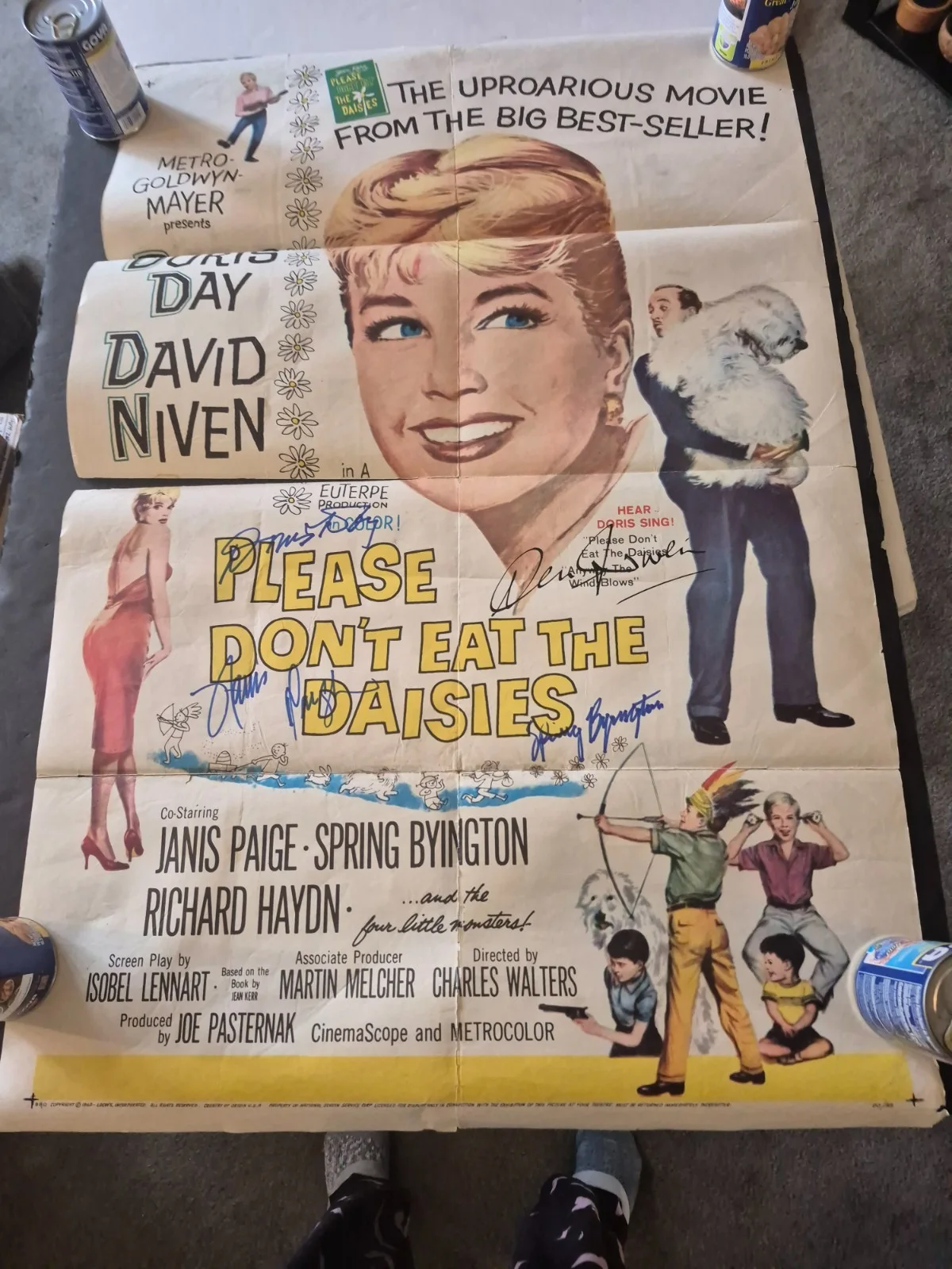 SEE BELOW — CAST SIGNED-PLEASE DON'T EAT THE DAISIES-MOVIE POSTER-w/COA ekim