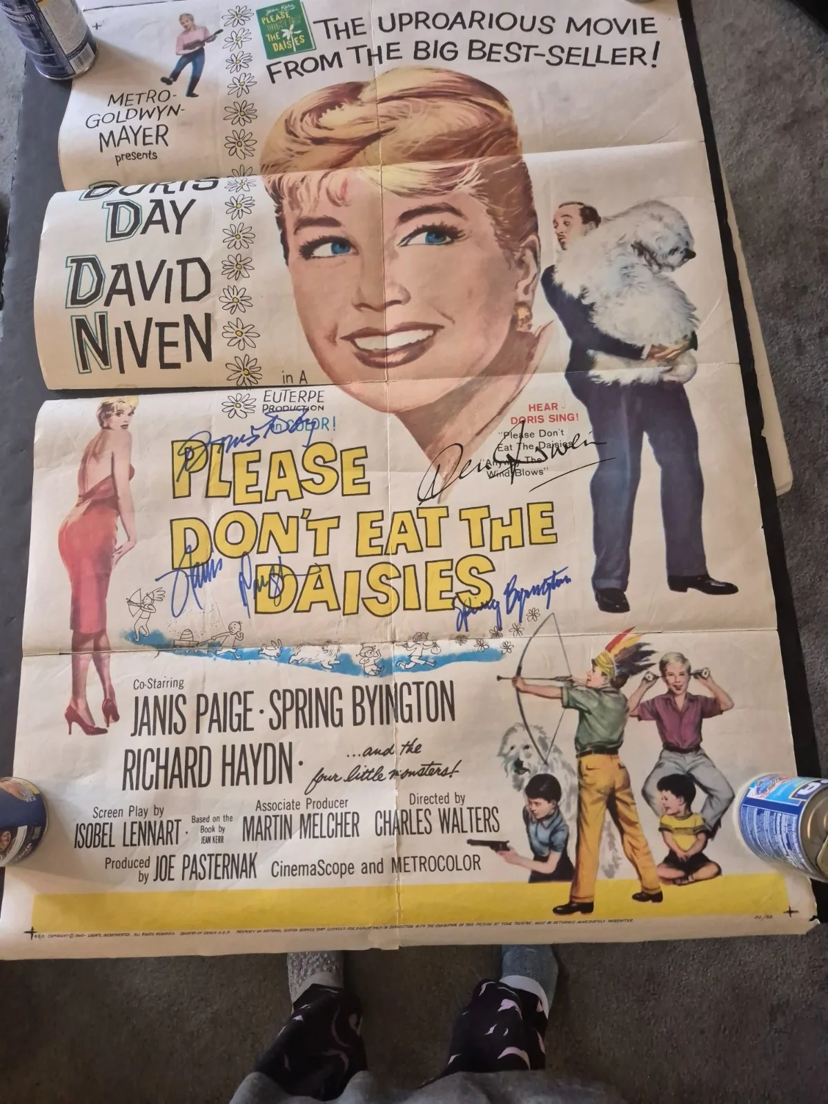 SEE BELOW — CAST SIGNED-PLEASE DON'T EAT THE DAISIES-MOVIE POSTER-w/COA ekim, изображение 2