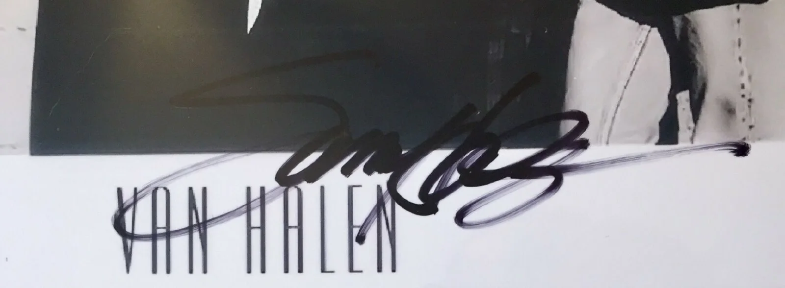 Van Halen - 8x10 Promo Pic (Real Autographs - Signed by full band) Framed w/COA, image 4