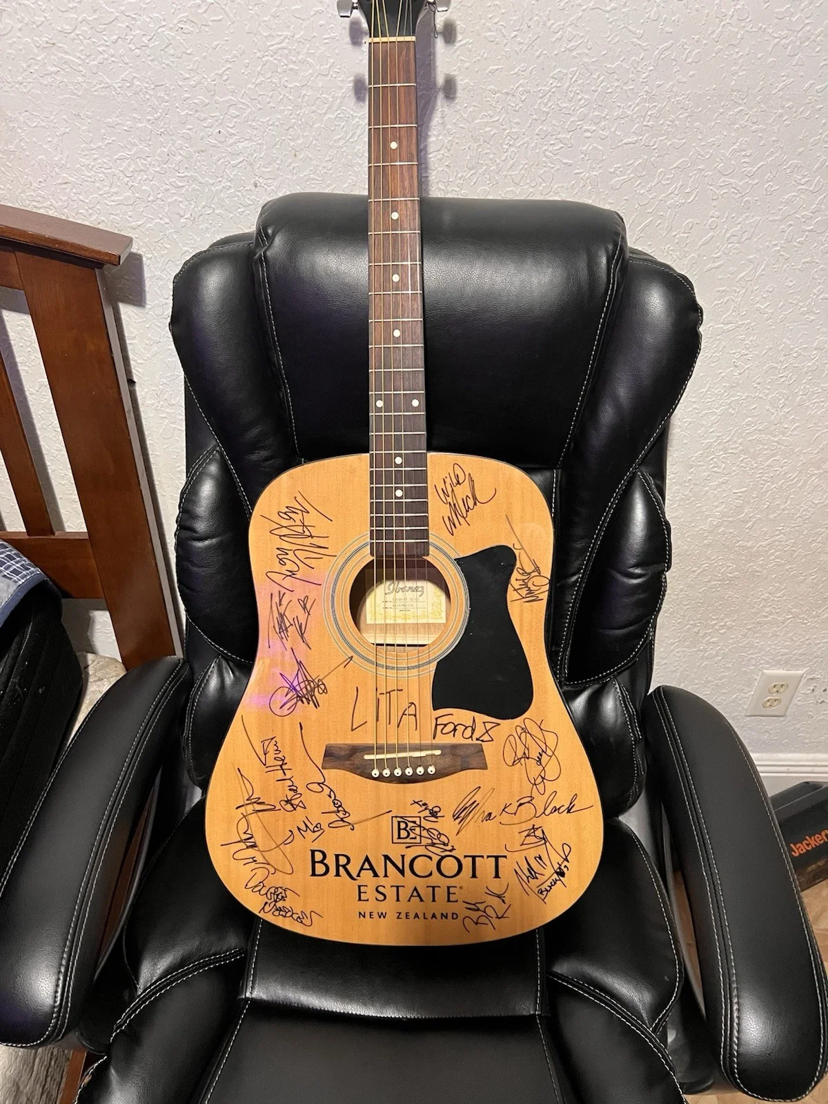 Ibanez Guitar Autograph, image 2