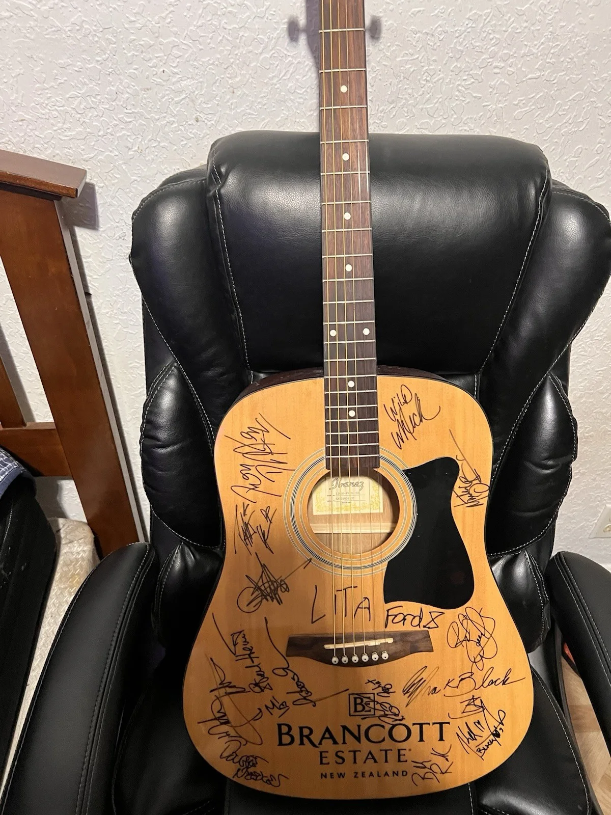 Ibanez Guitar Autograph, image 3