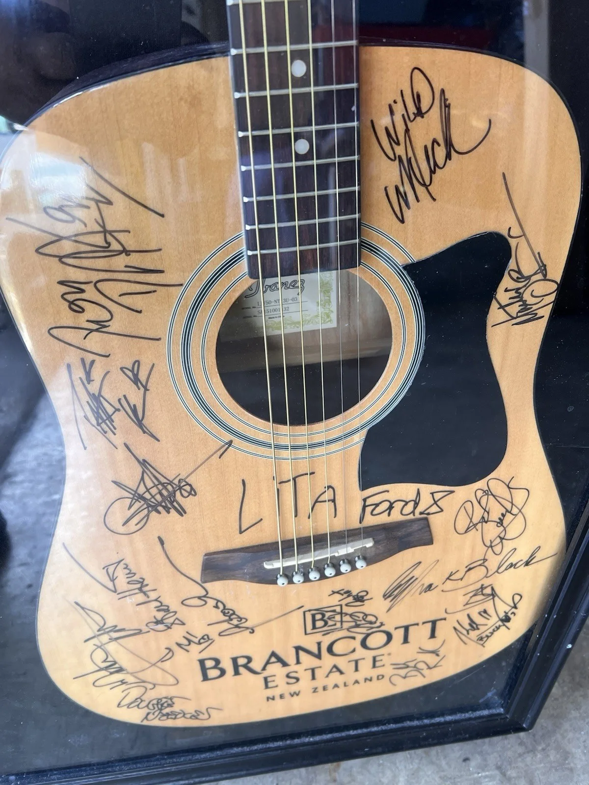 Ibanez Guitar Autograph, image 4