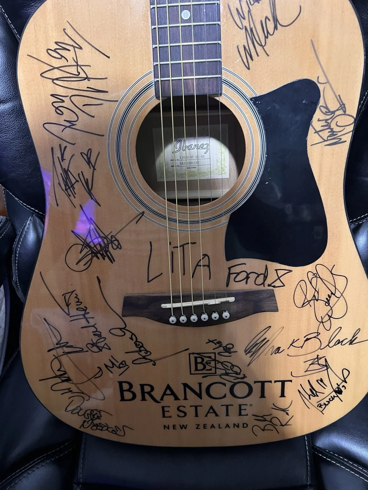 Ibanez Guitar Autograph, image 5