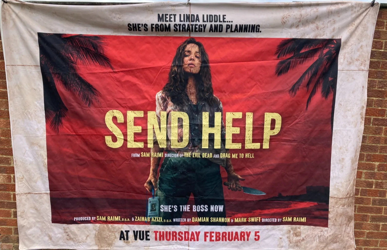 Cinema Banner: SEND HELP 2026 Sam Raimi Rachel McAdams Bruce Campbell, image 3