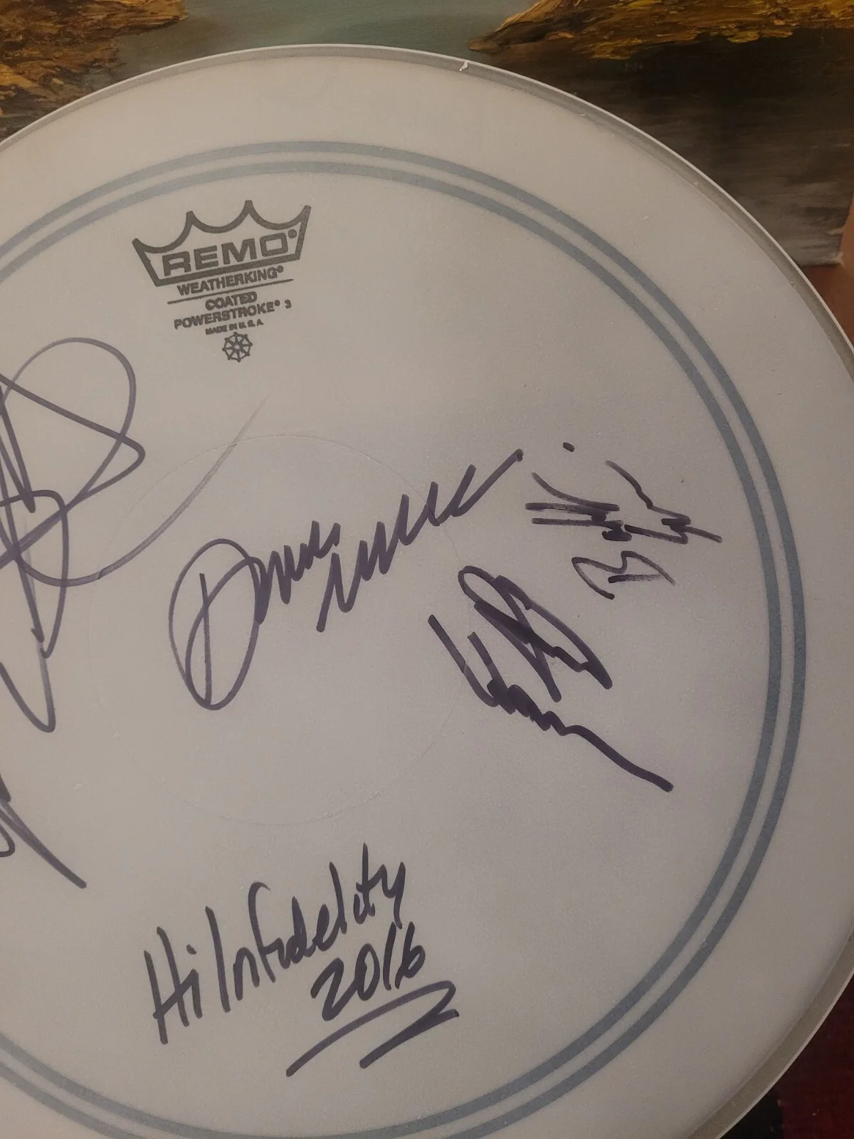 signed drumhead, image 5