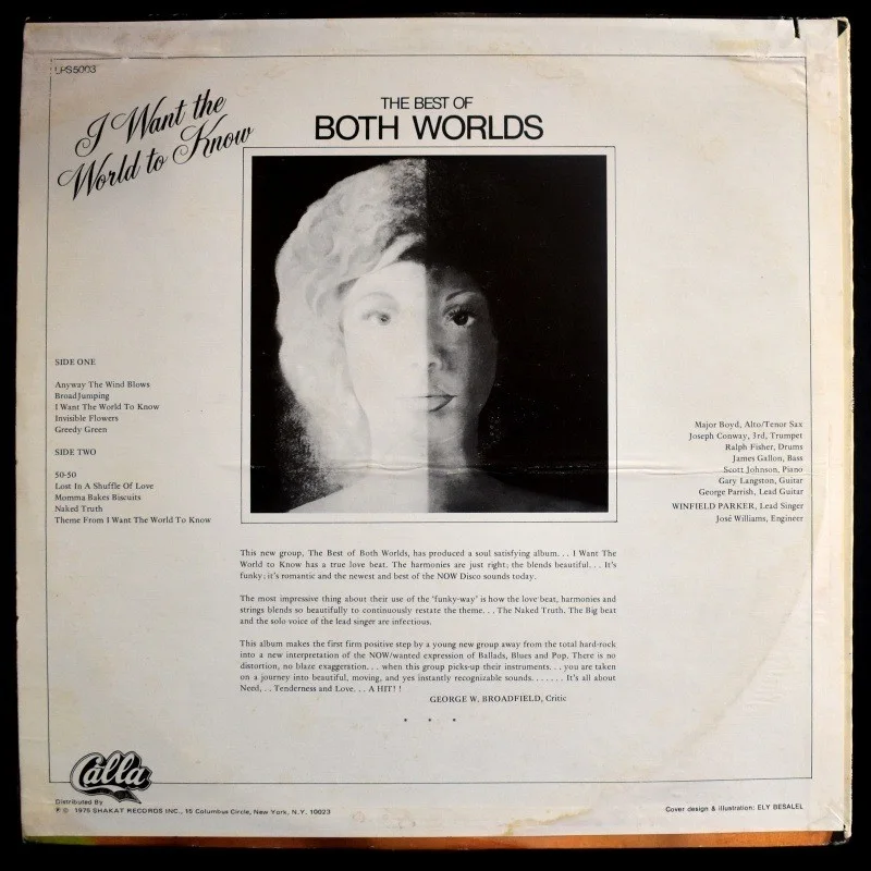 The Best Of Both Worlds - I Want The World To Know [LP], изображение 4