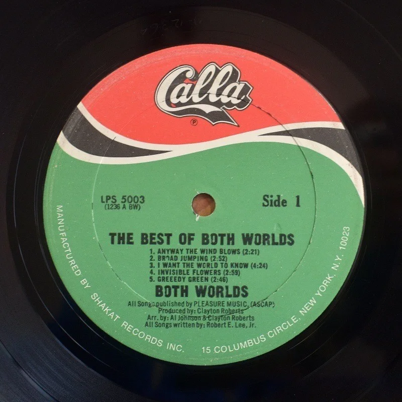 The Best Of Both Worlds - I Want The World To Know [LP], изображение 5