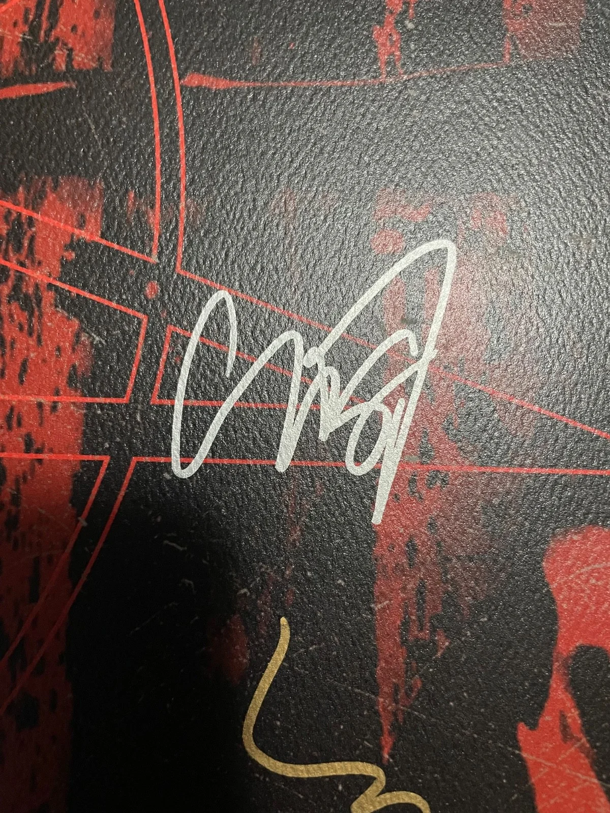 Slipknot Signed The Grey Chapter VIP poster, image 3