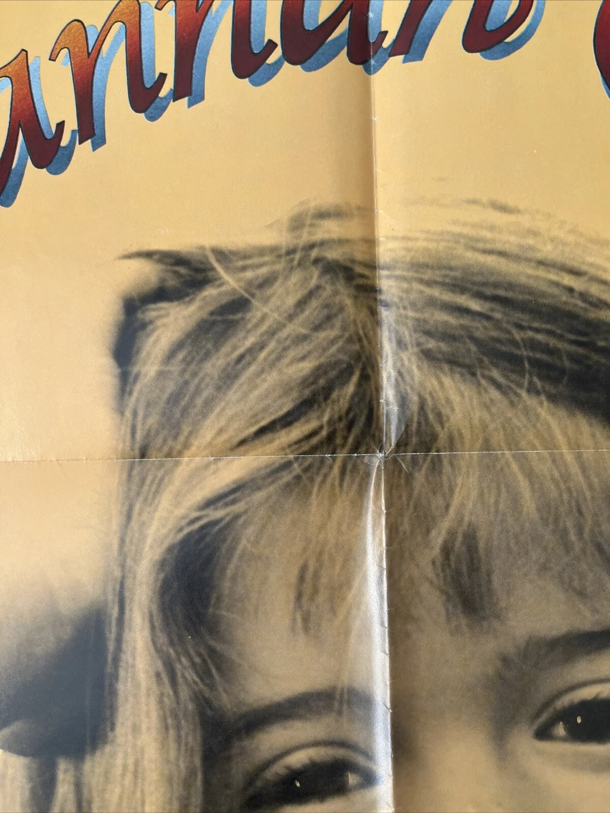 Savannah Smiles (1982) Original US One Sheet Cinema Poster, изображение 5