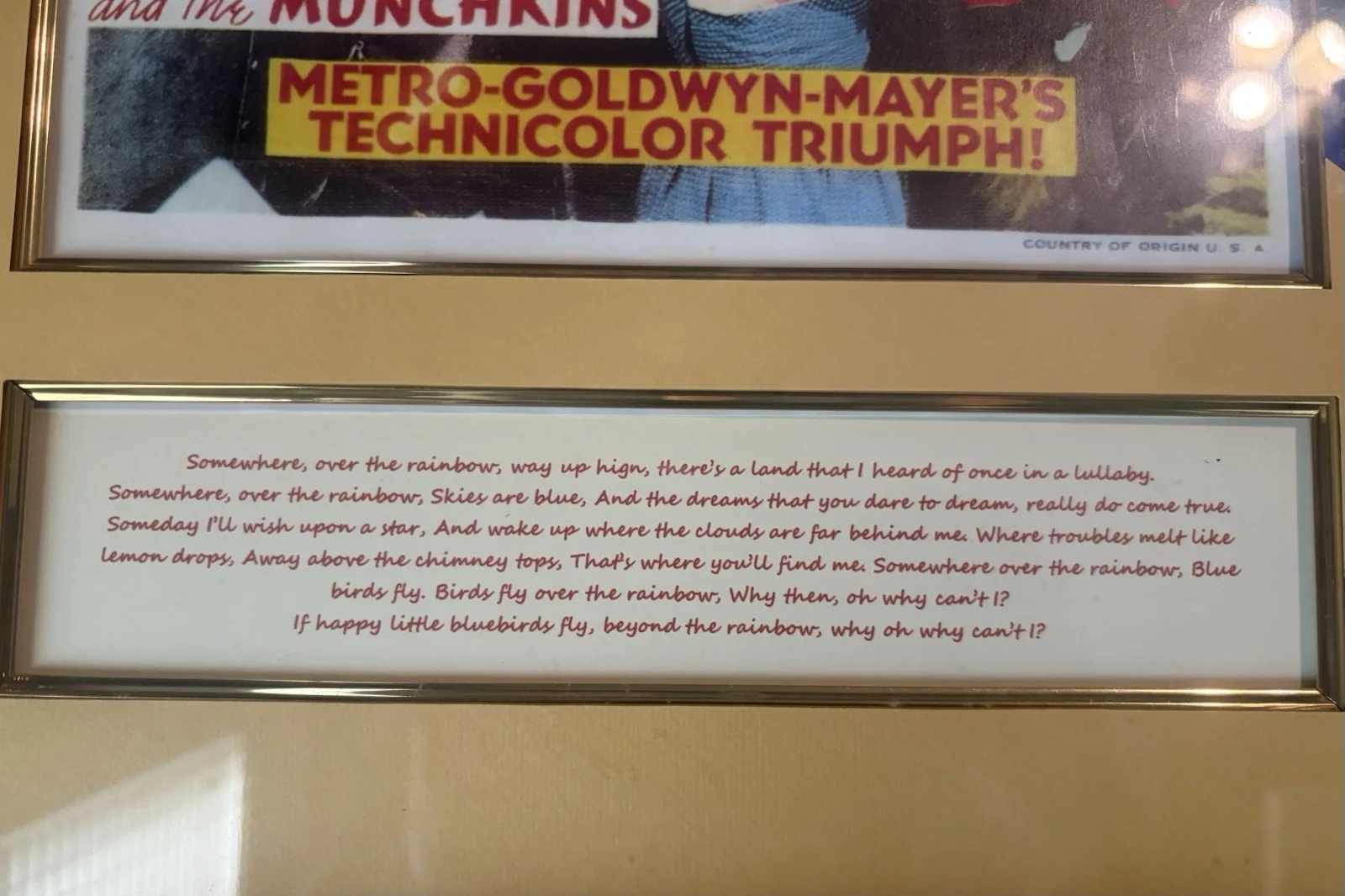Wizard of Oz Principal Cast Signed Display Judy Garland Morgan Bolger Lahr Haley, изображение 5
