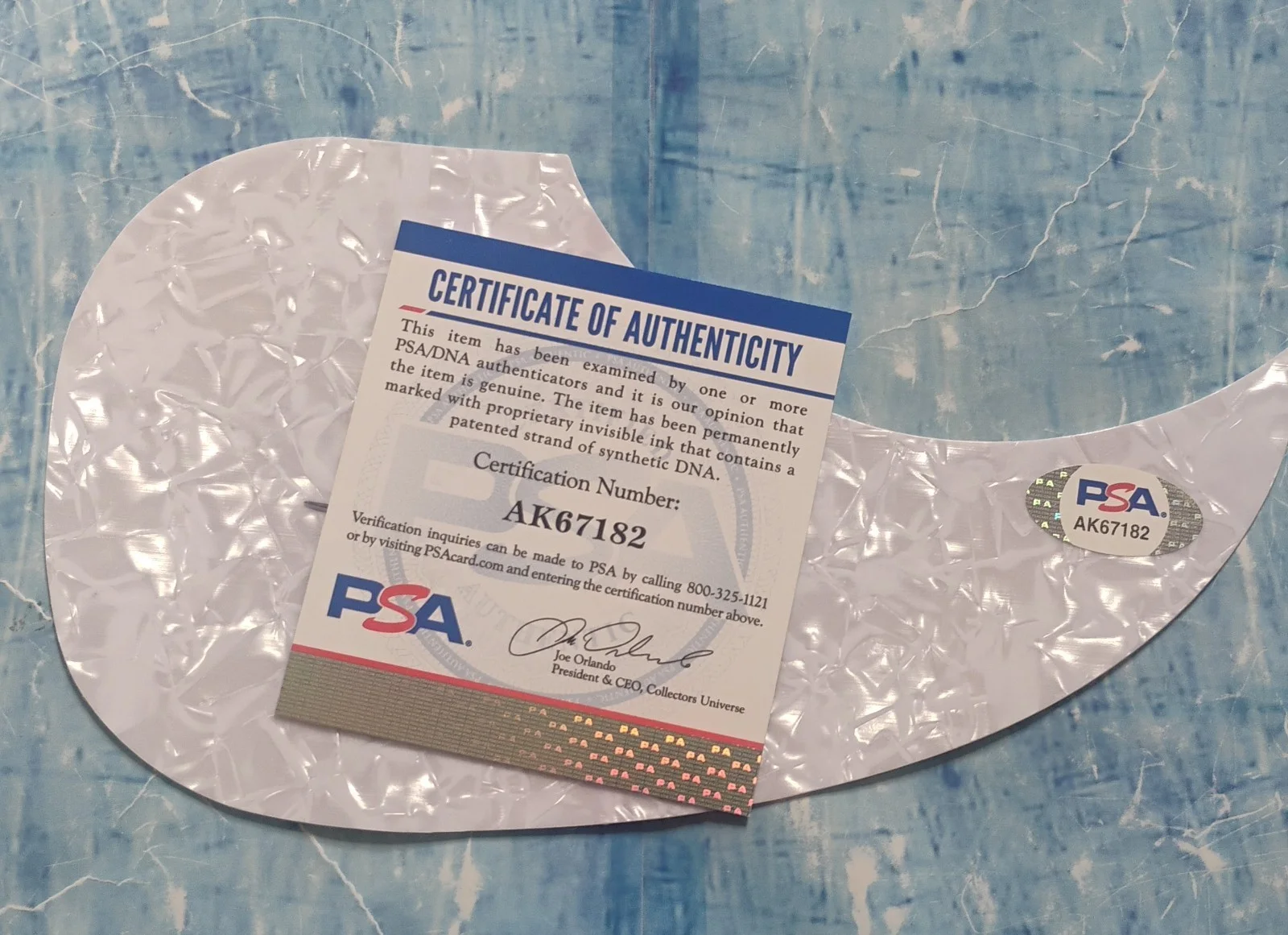 Teddy Gentry Hand Signed Autograph Guitar Pick Guard PSA COA Alabama NO TARIFFS, image 4
